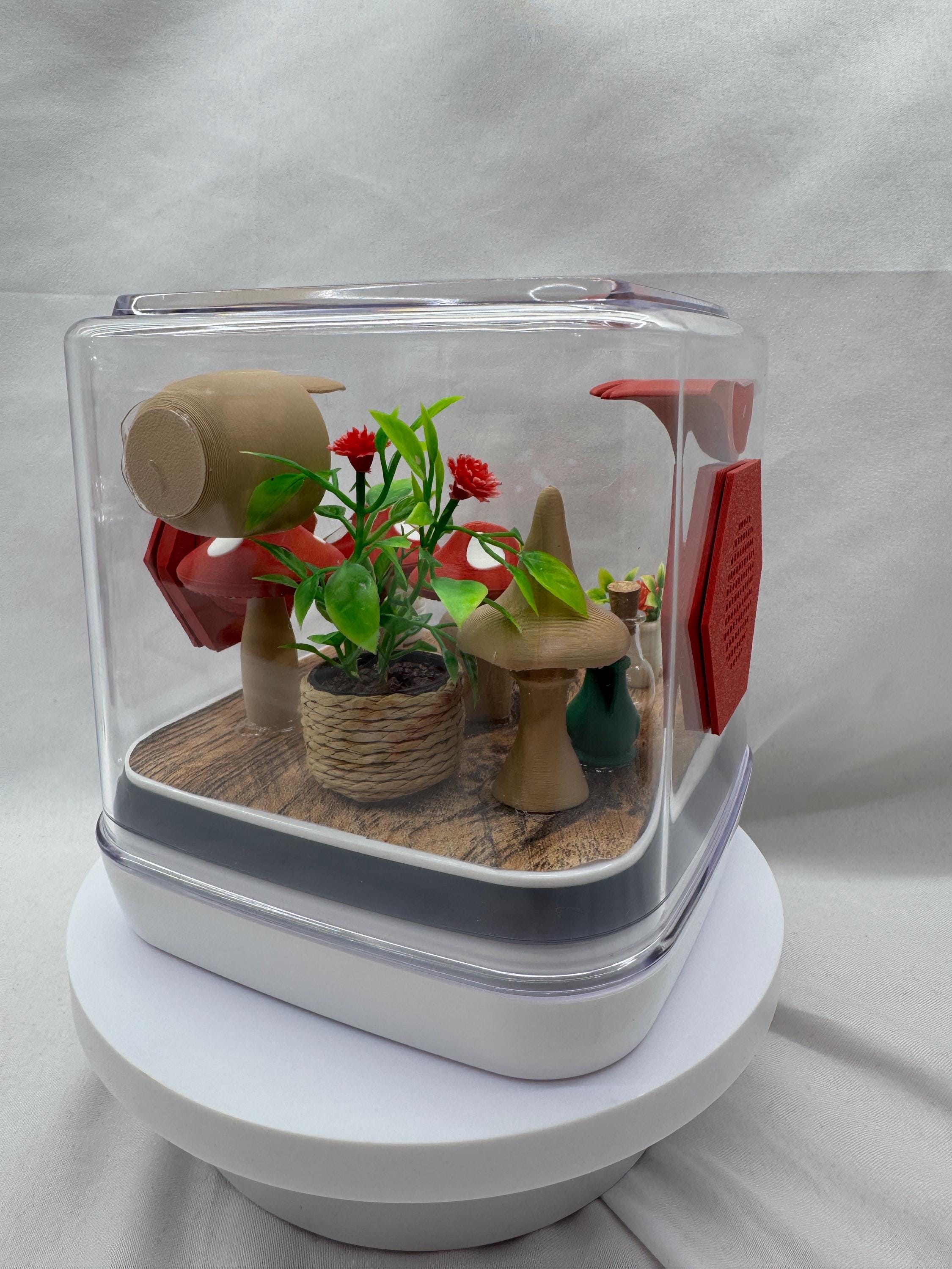 Mini mushroom jumping spider enclosure