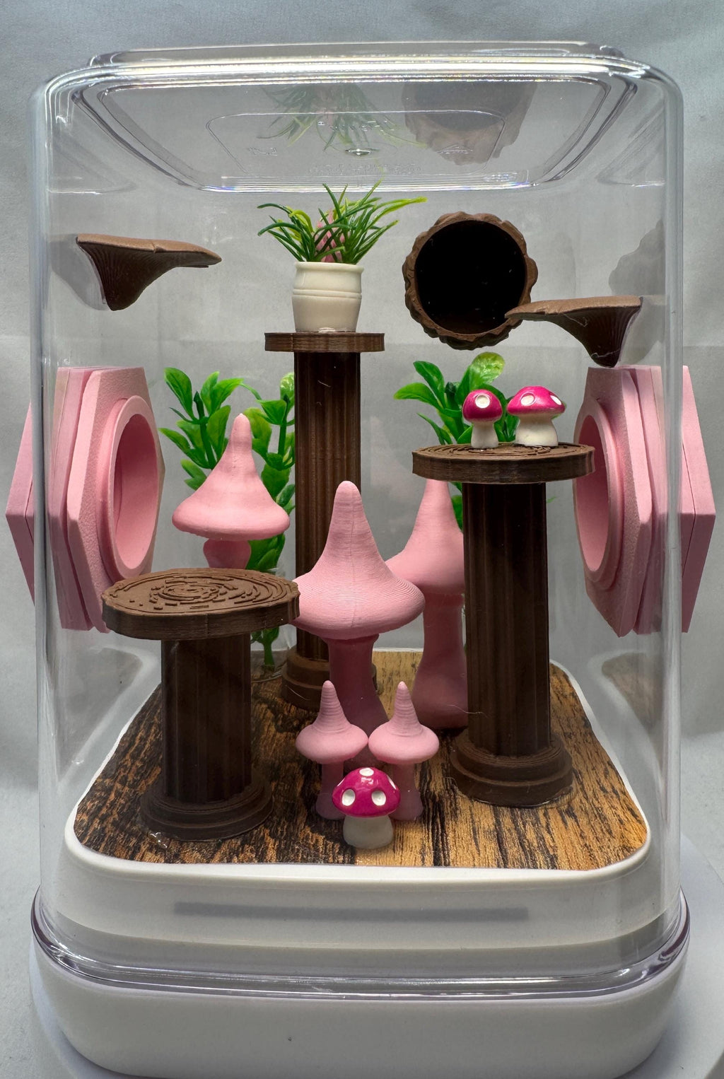Decorated Jumping Spider Enclosure: Pink Mushroom Terrarium