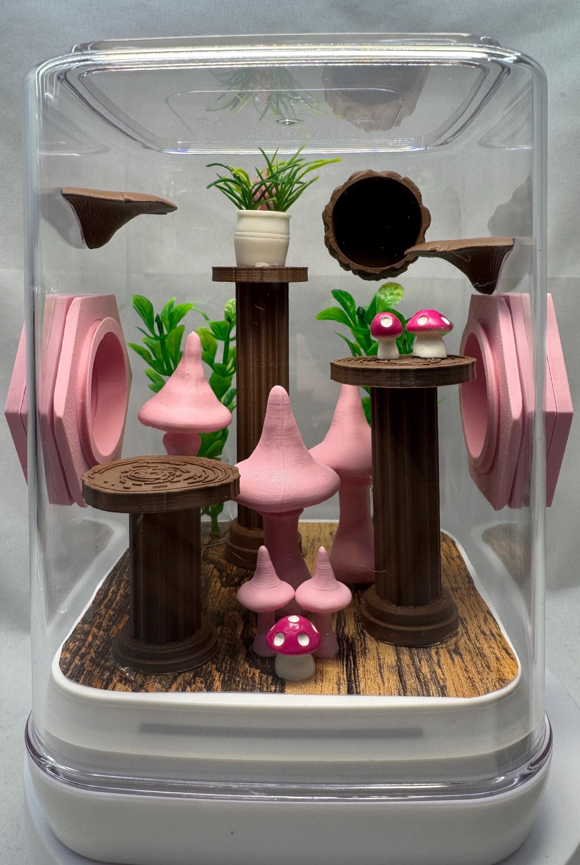 Decorated Jumping Spider Enclosure: Pink Mushroom Terrarium