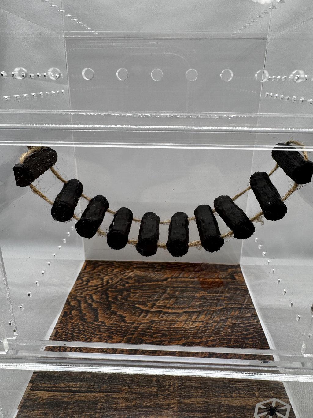 Magnetic Jumping Spider Bridge | Terrarium Decor | Spider Enclosure Accessories | Customizable |  Enrichment