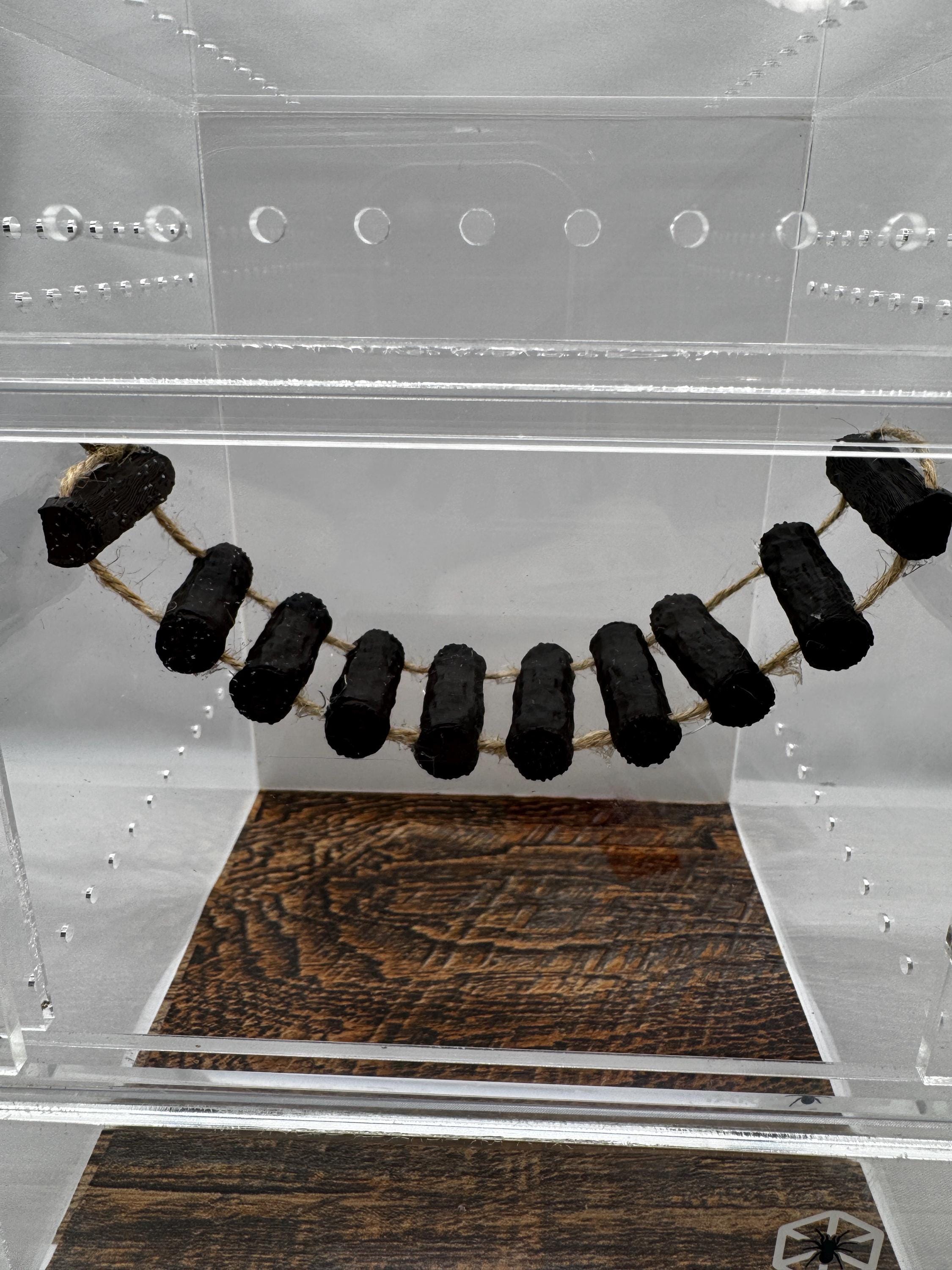 Magnetic Jumping Spider Bridge | Terrarium Decor | Spider Enclosure Accessories | Customizable |  Enrichment