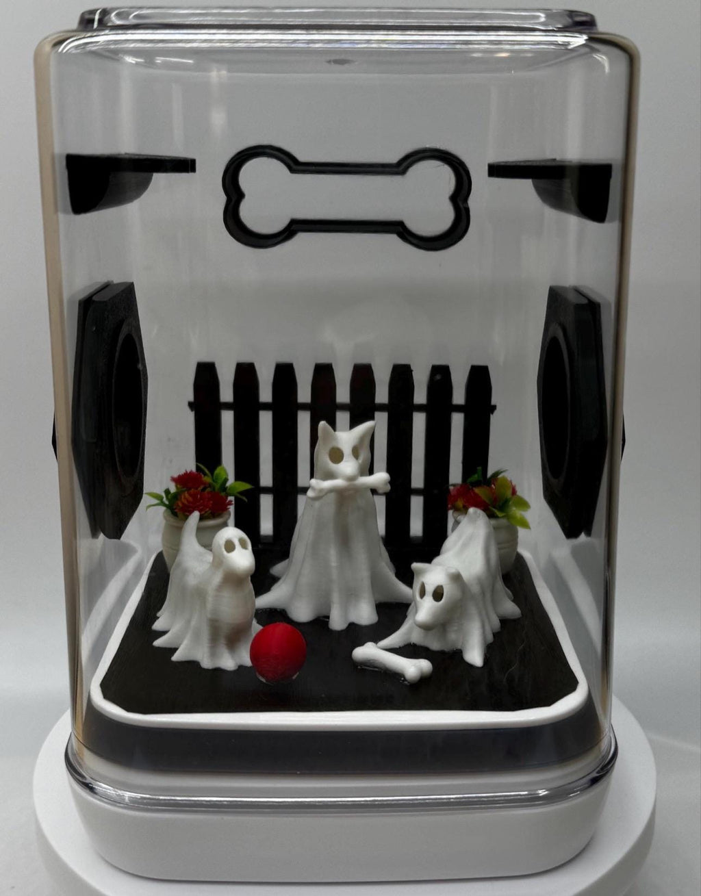 Accessory Pack for Ghost Dogs jumping spider enclosure