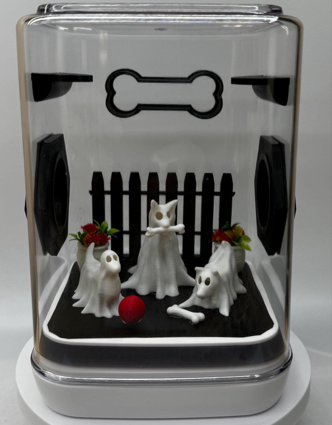 Accessory Pack for Ghost Dogs jumping spider enclosure