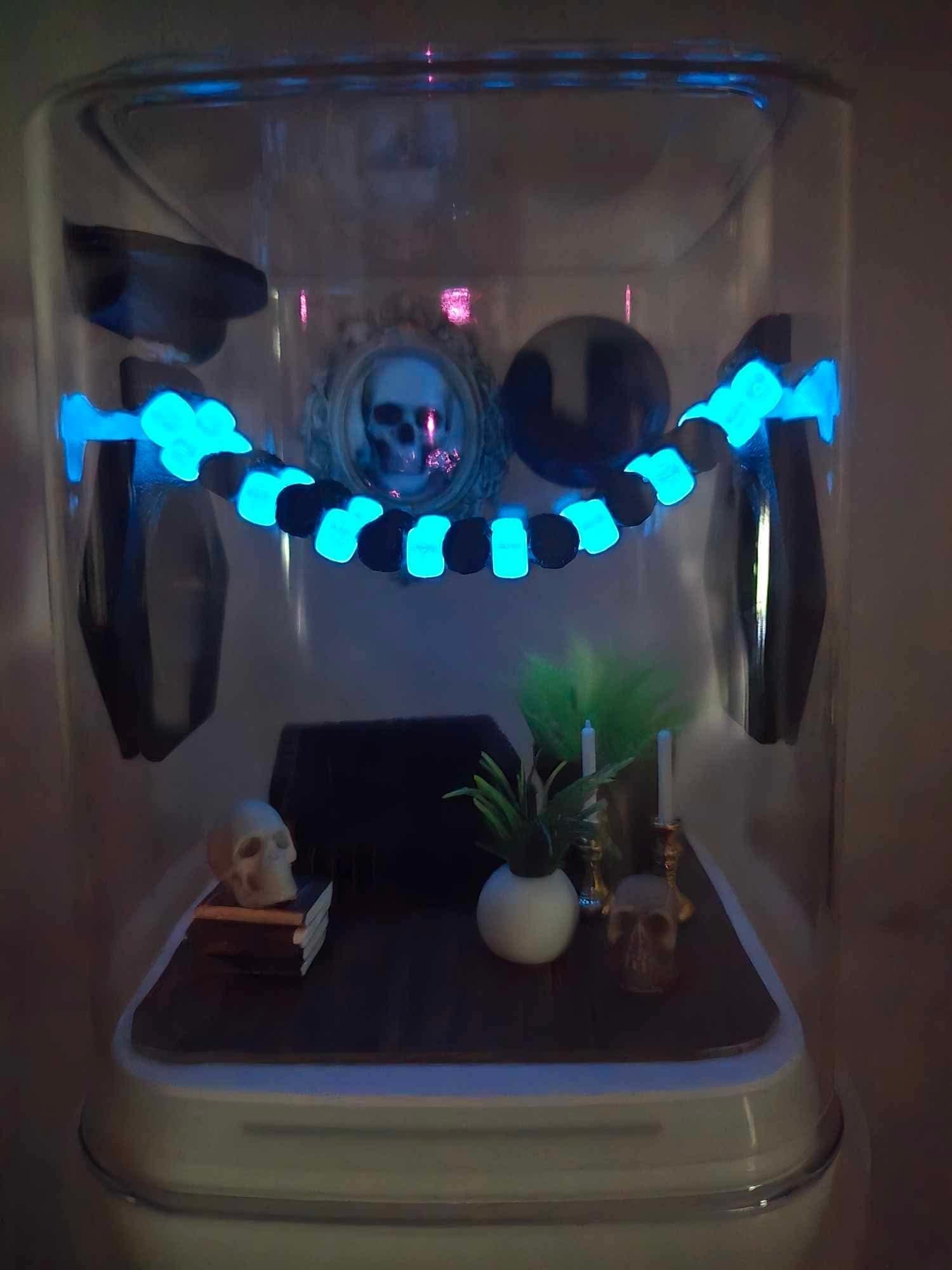 Spooky Study Accessory Pack: Jumping Spider Enclosure Decor