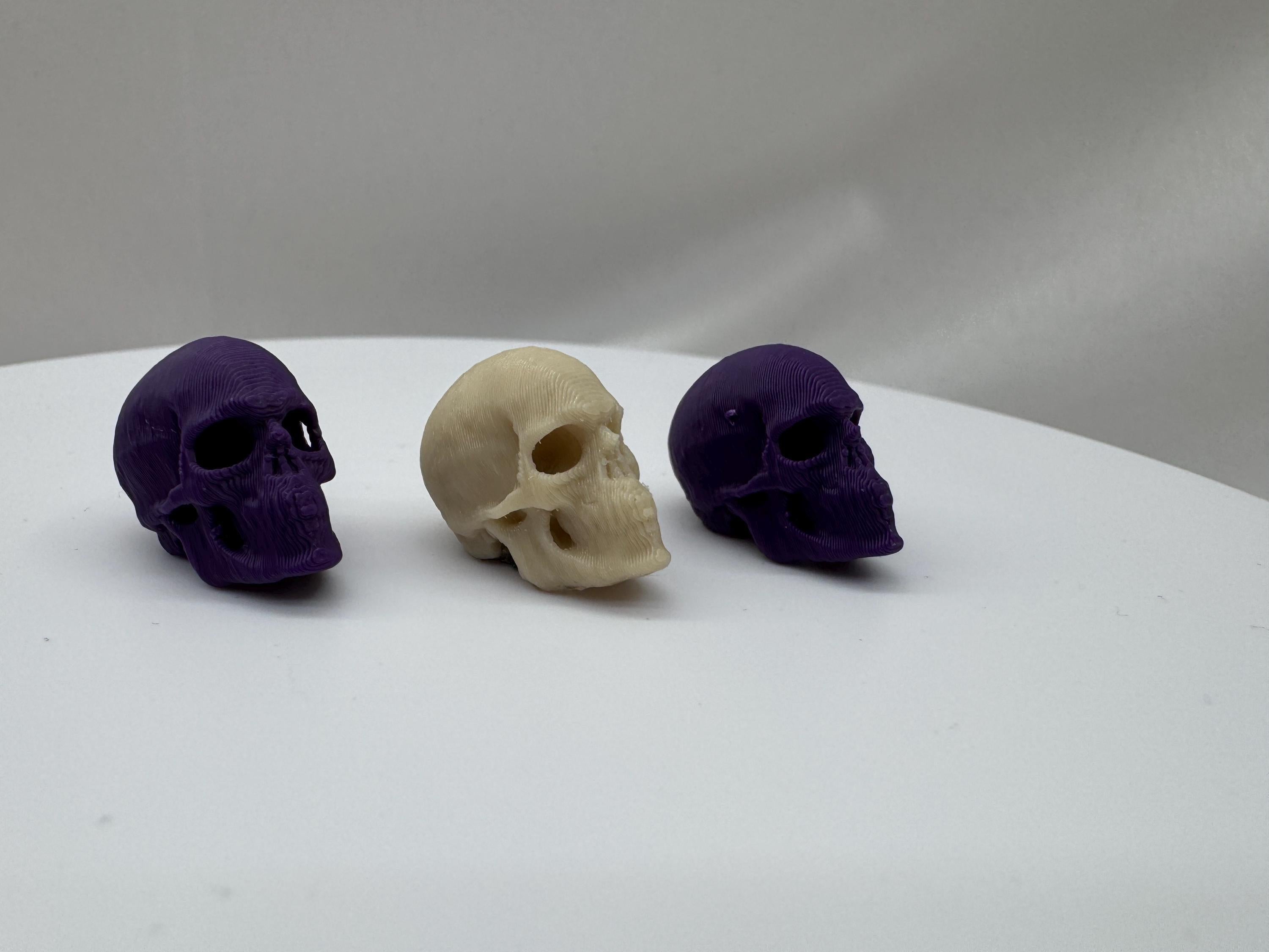 3D Printed Spider Skulls: Spooky Enclosure Decor, Set of 2