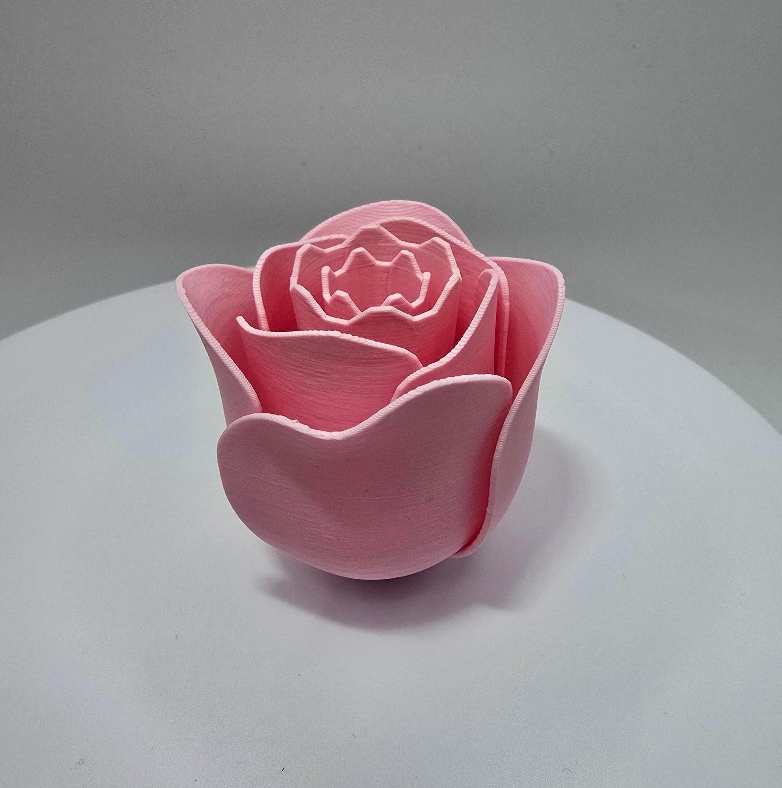 Magnetic Rose Hideout: Jumping Spider Enclosure Decor
