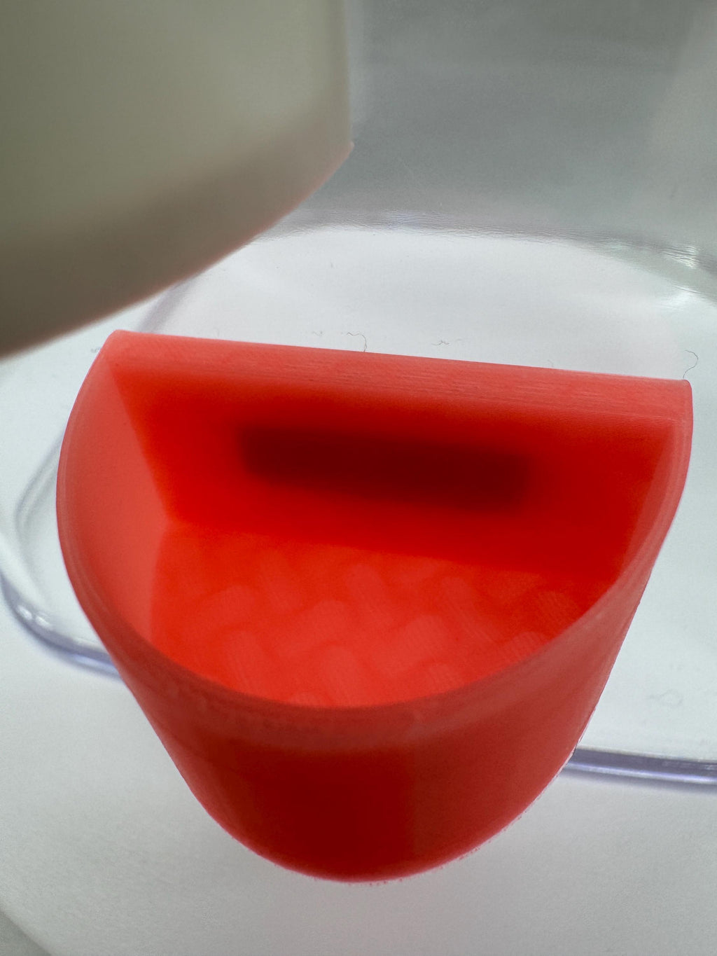 Jumping spider feeding dish, accessories