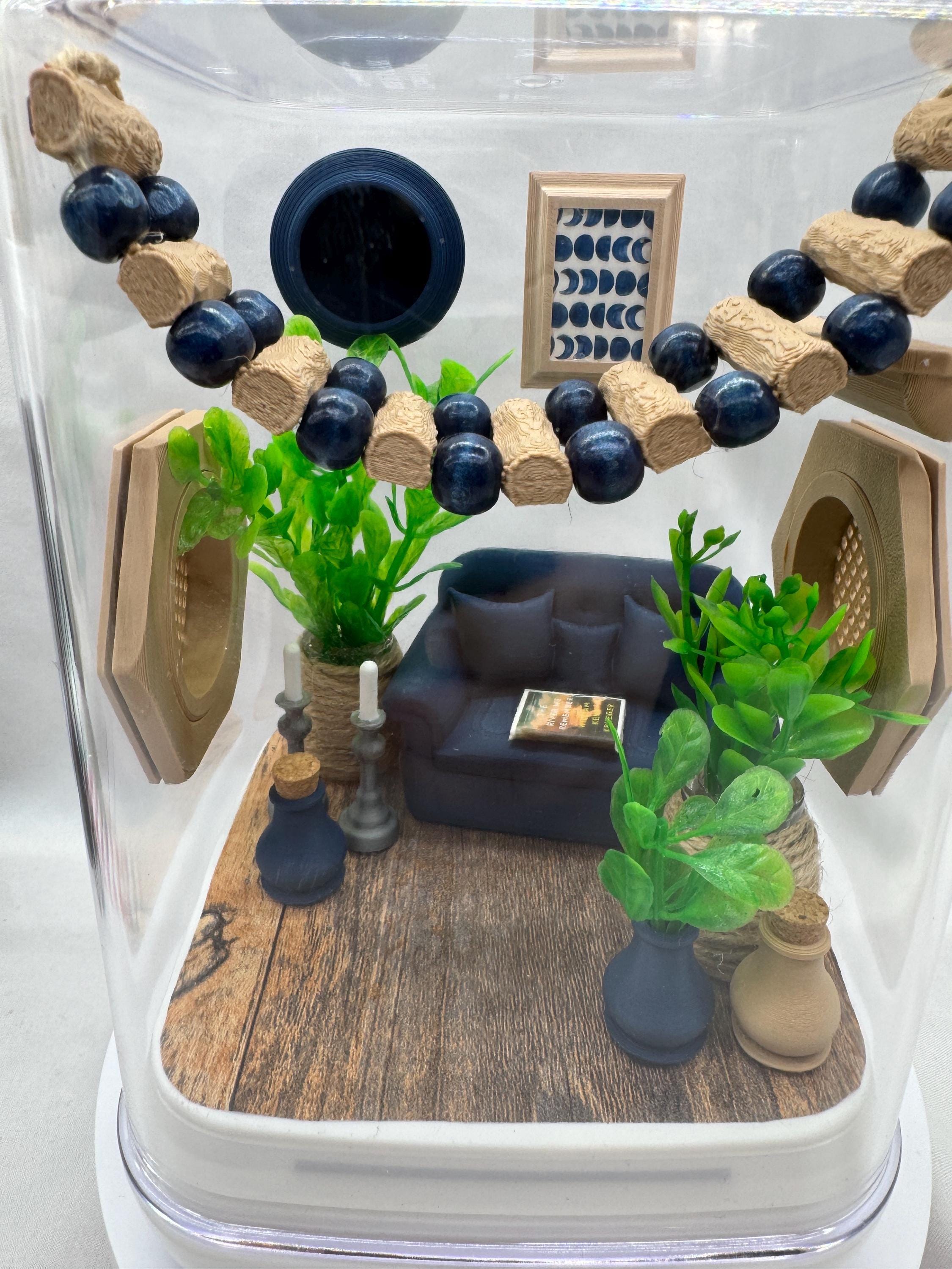 The Chic Spood Crib jumping spider enclosure, pet house, home