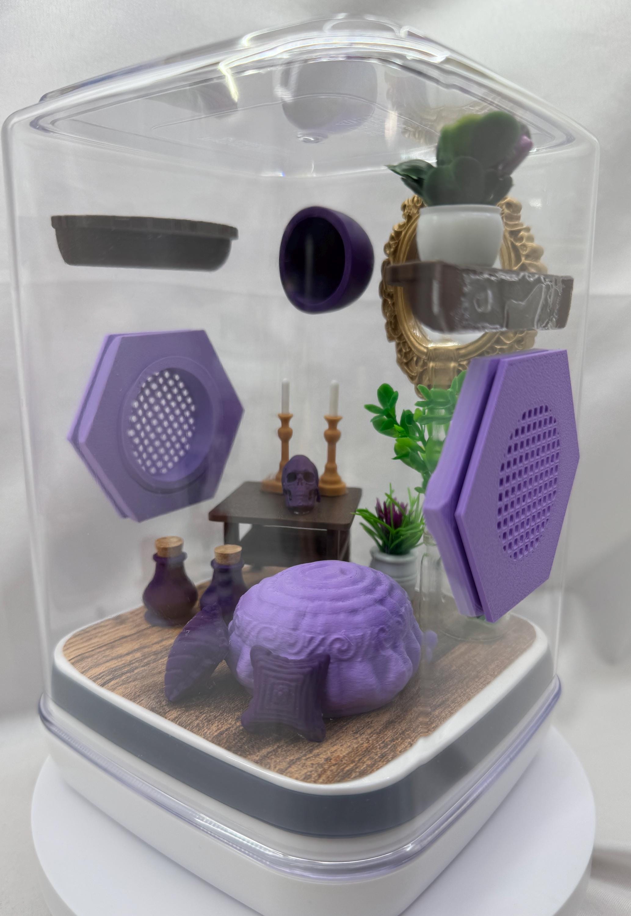 Elegant Jumping Spider Terrarium: Custom 3D Printed Habitat for Arachnid Enthusiasts