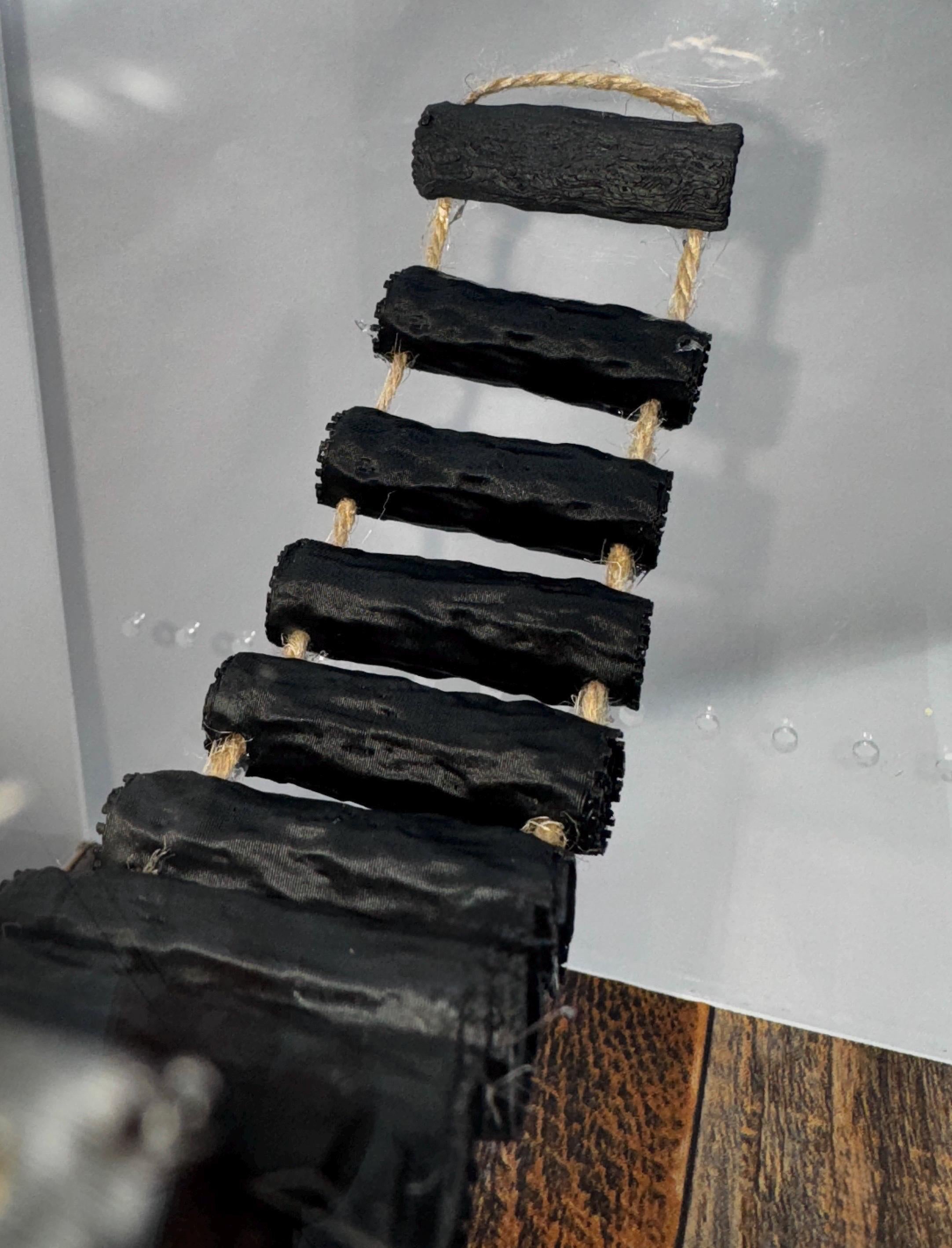 Magnetic Jumping Spider Bridge | Terrarium Decor | Spider Enclosure Accessories | Customizable |  Enrichment