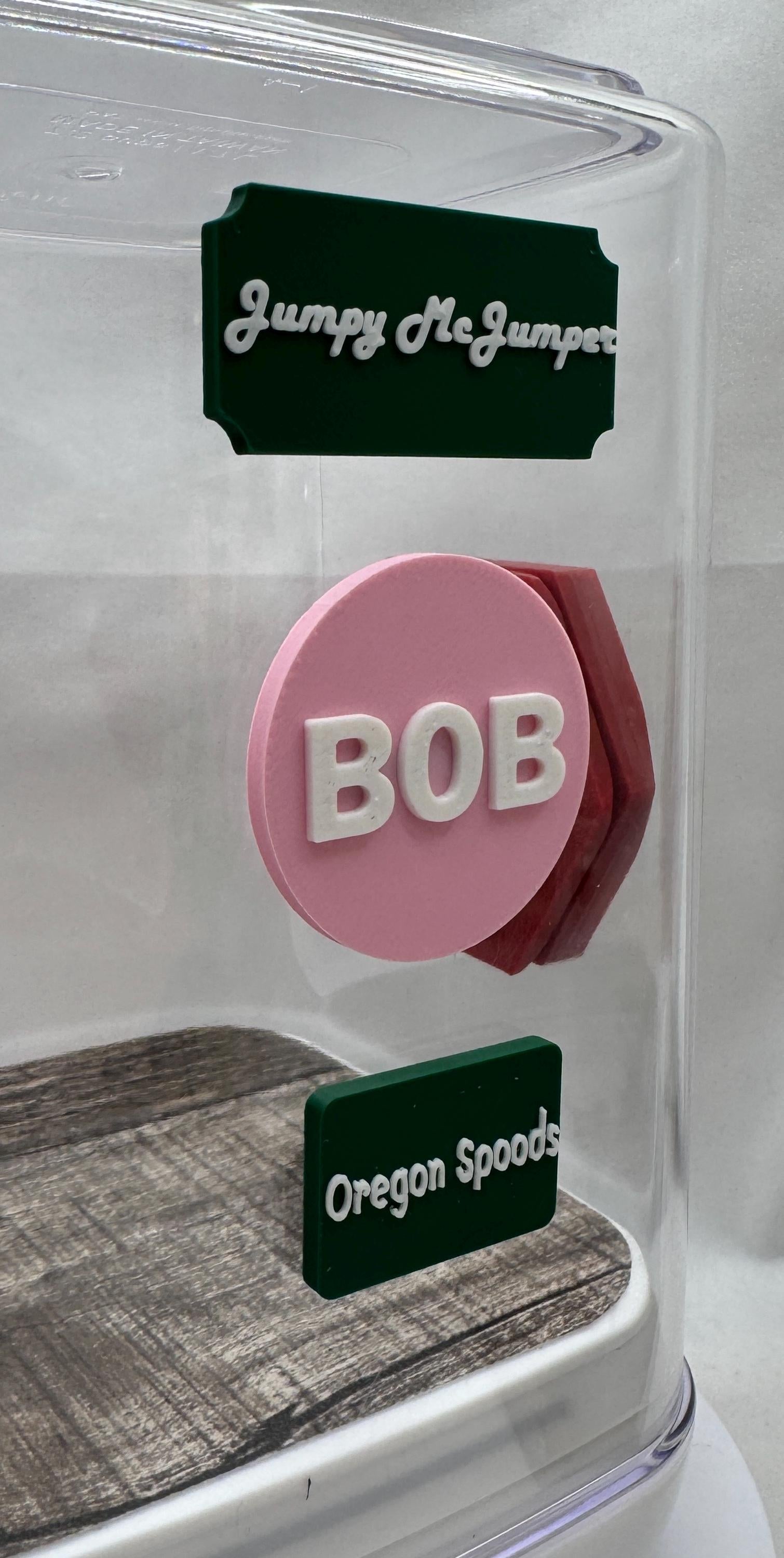 Personalized name tag, Magnetic, customizable, for spider and reptile enclosures.