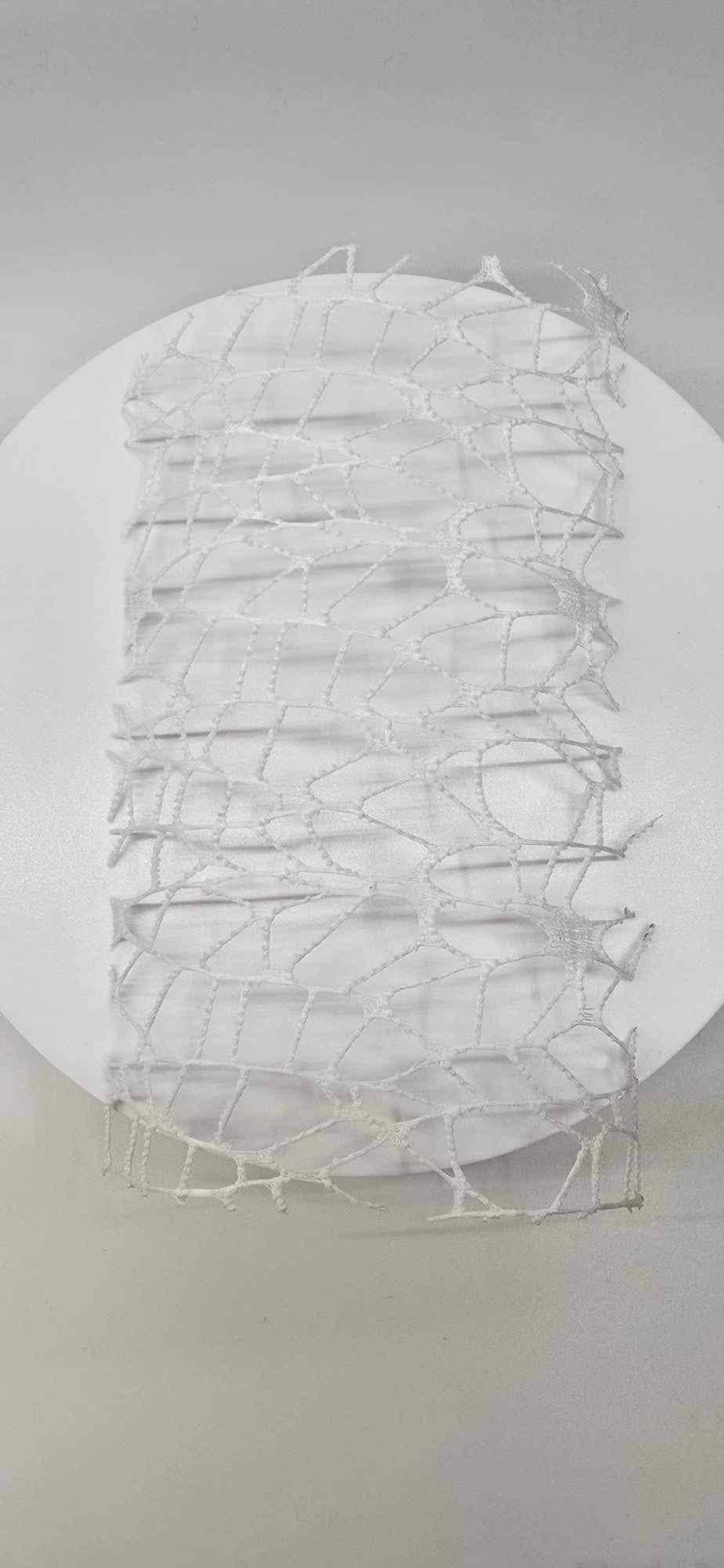 Artificial Webbing: Customizable Terrarium Decor for Jumping Spiders