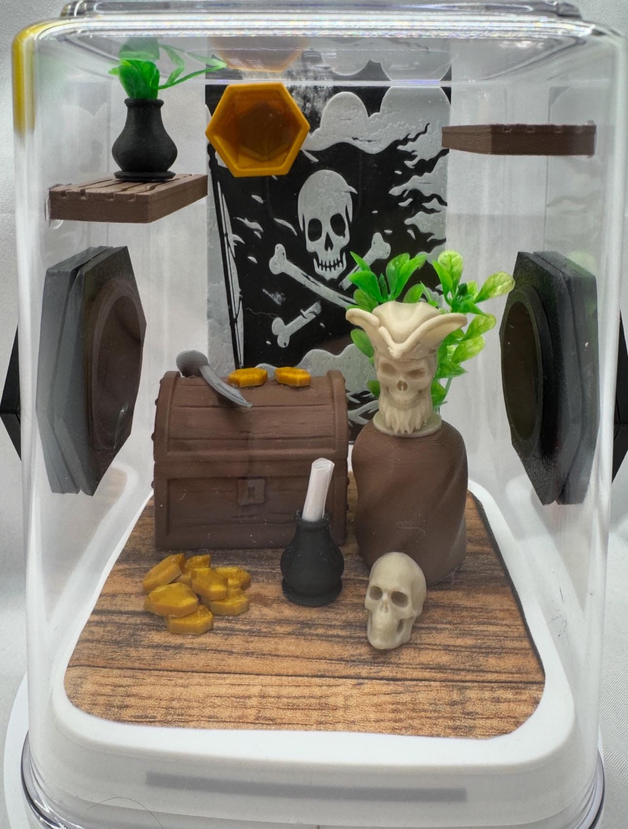 Pirate themed jumping spider enclosure | Decorated terrarium