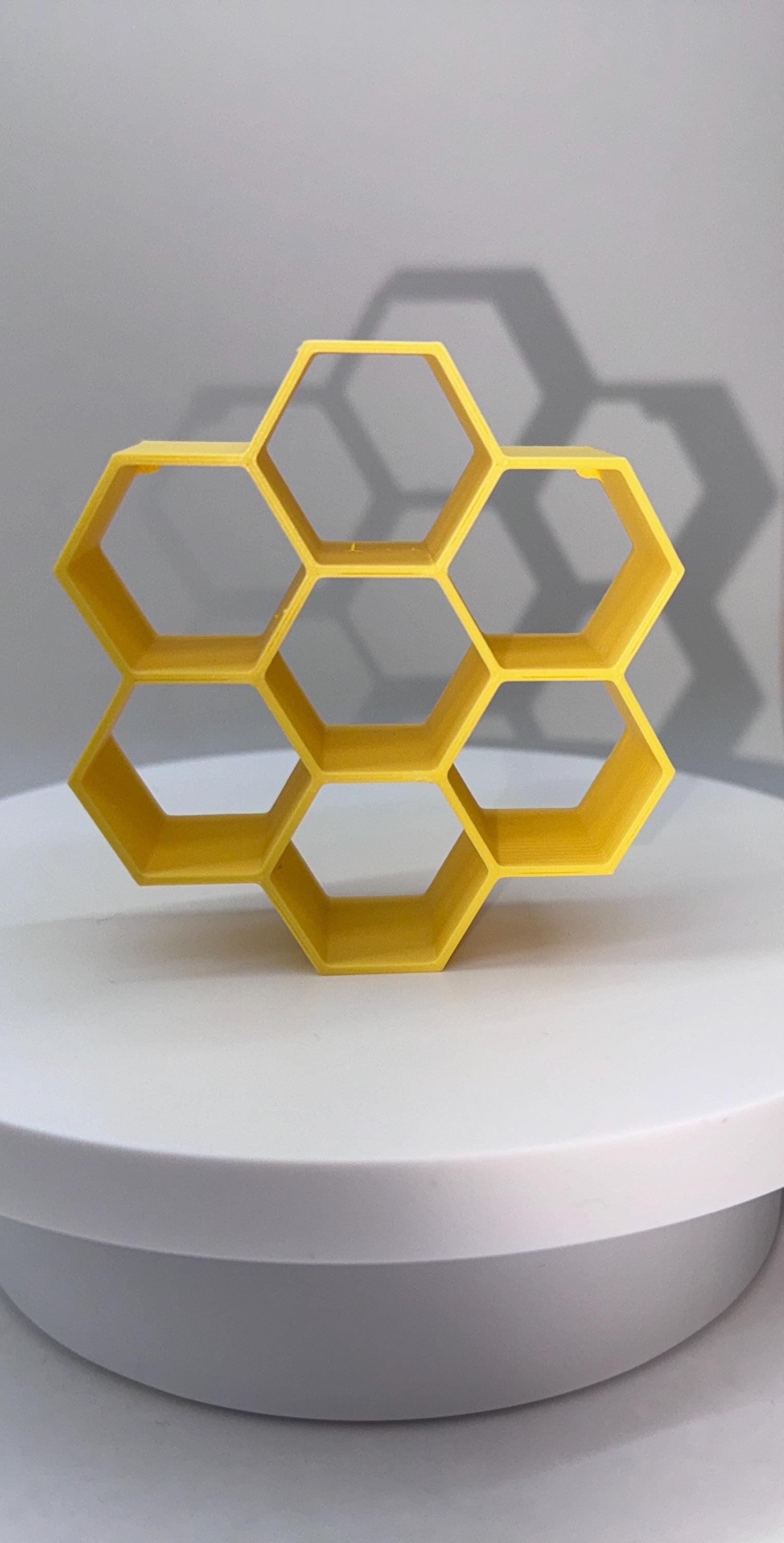 Honeycomb Hide for Jumping Spider Enclosure (3x3 inches)