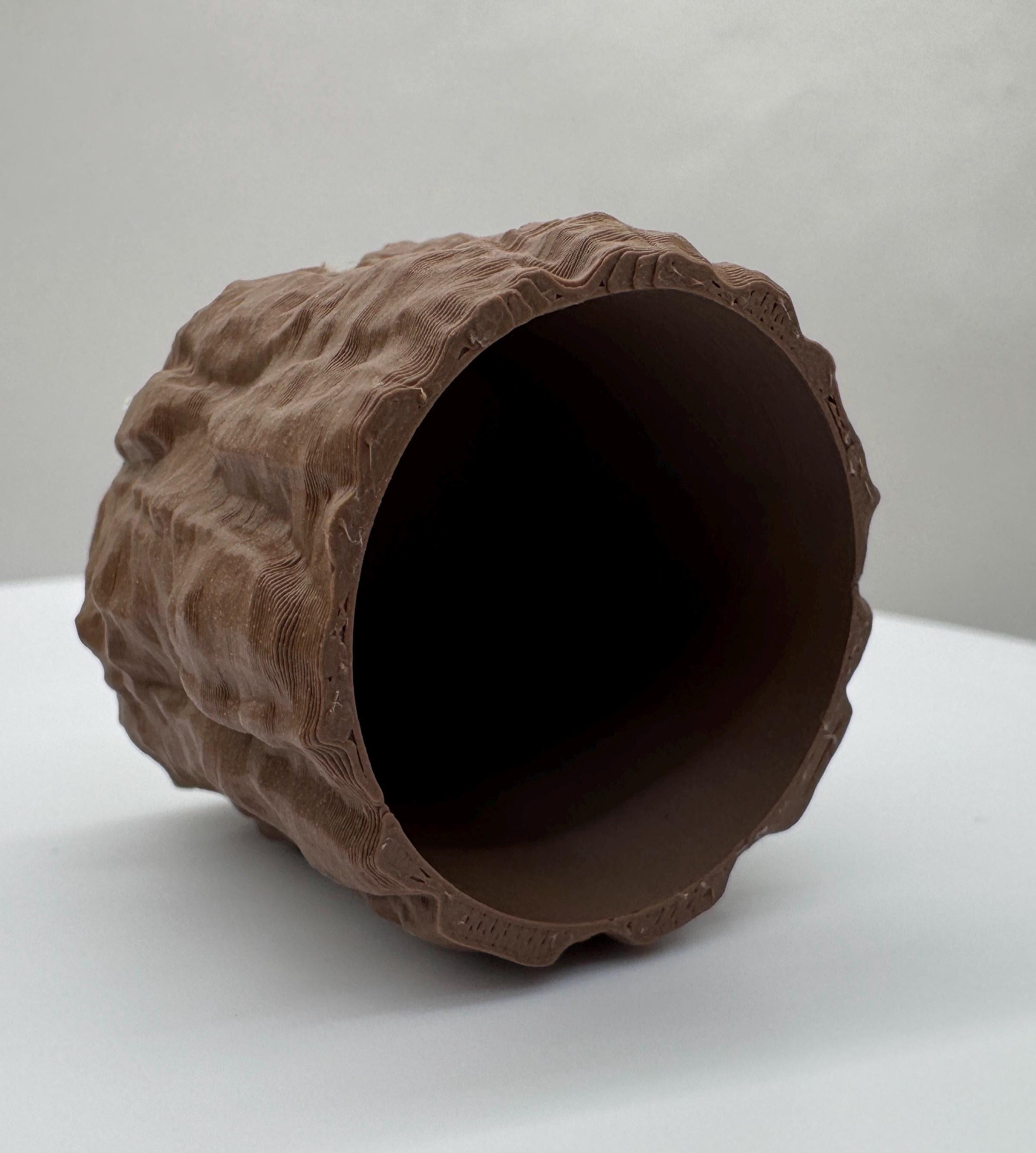 Bark Hide for Jumping Spider Enclosure