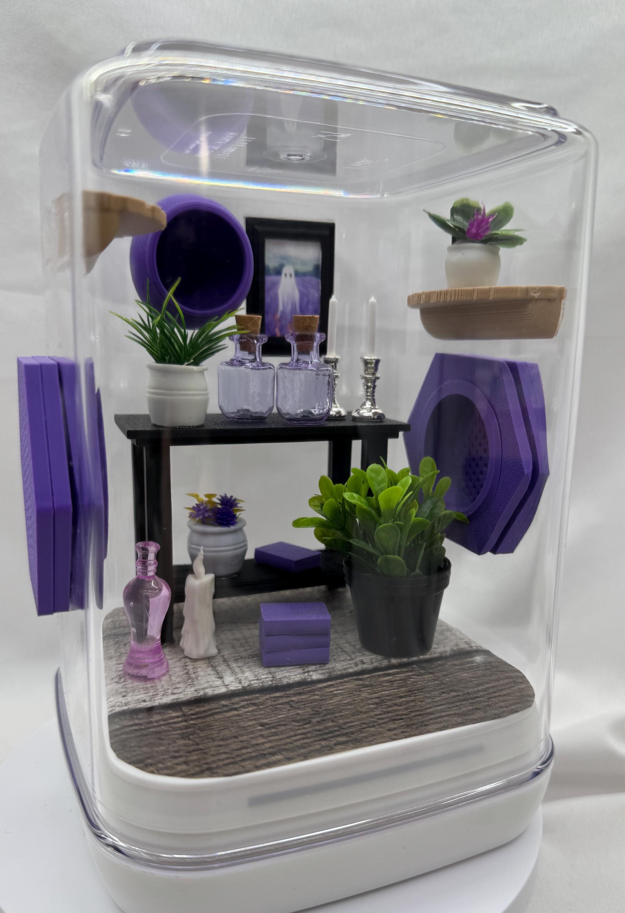Decor for The Spooky Spider Den jumping spider enclosure accessories
