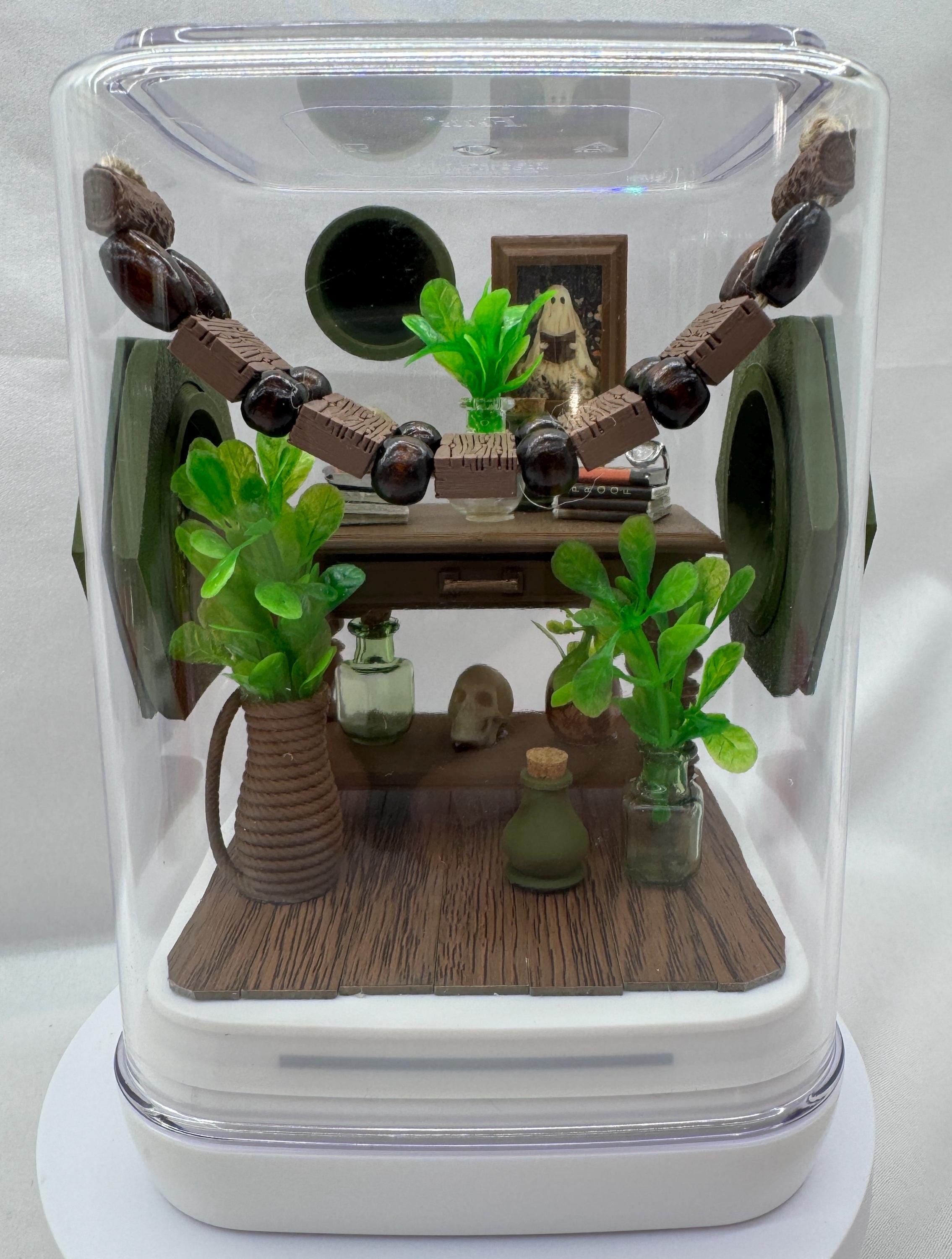 Decorated Jumping Spider Enclosure: Jungle Study Terrarium (5x5x7 inches)