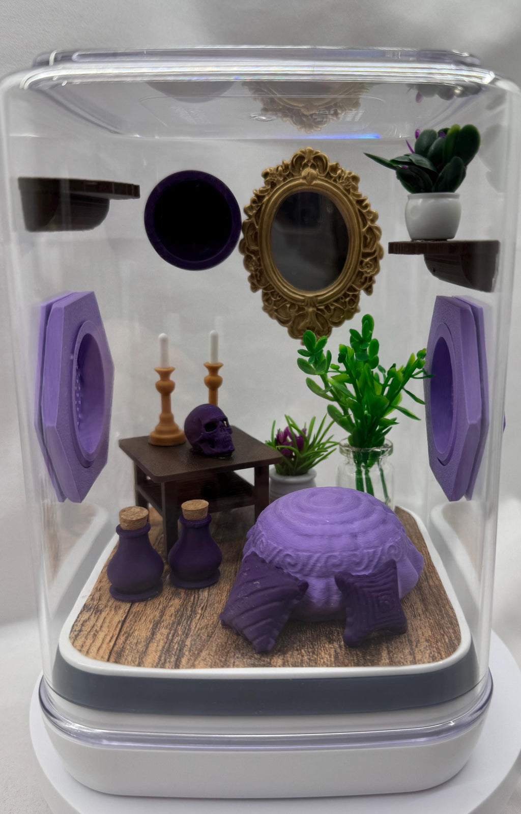 Elegant Jumping Spider Terrarium: Custom 3D Printed Habitat for Arachnid Enthusiasts