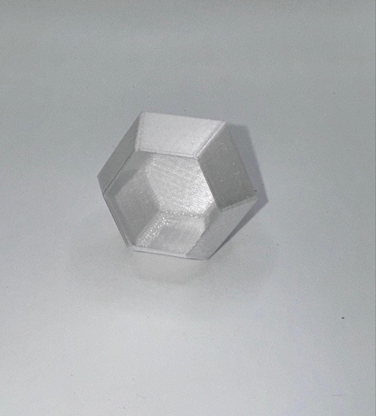 Hexagon Jumping Spider Hide: Enclosure Decor