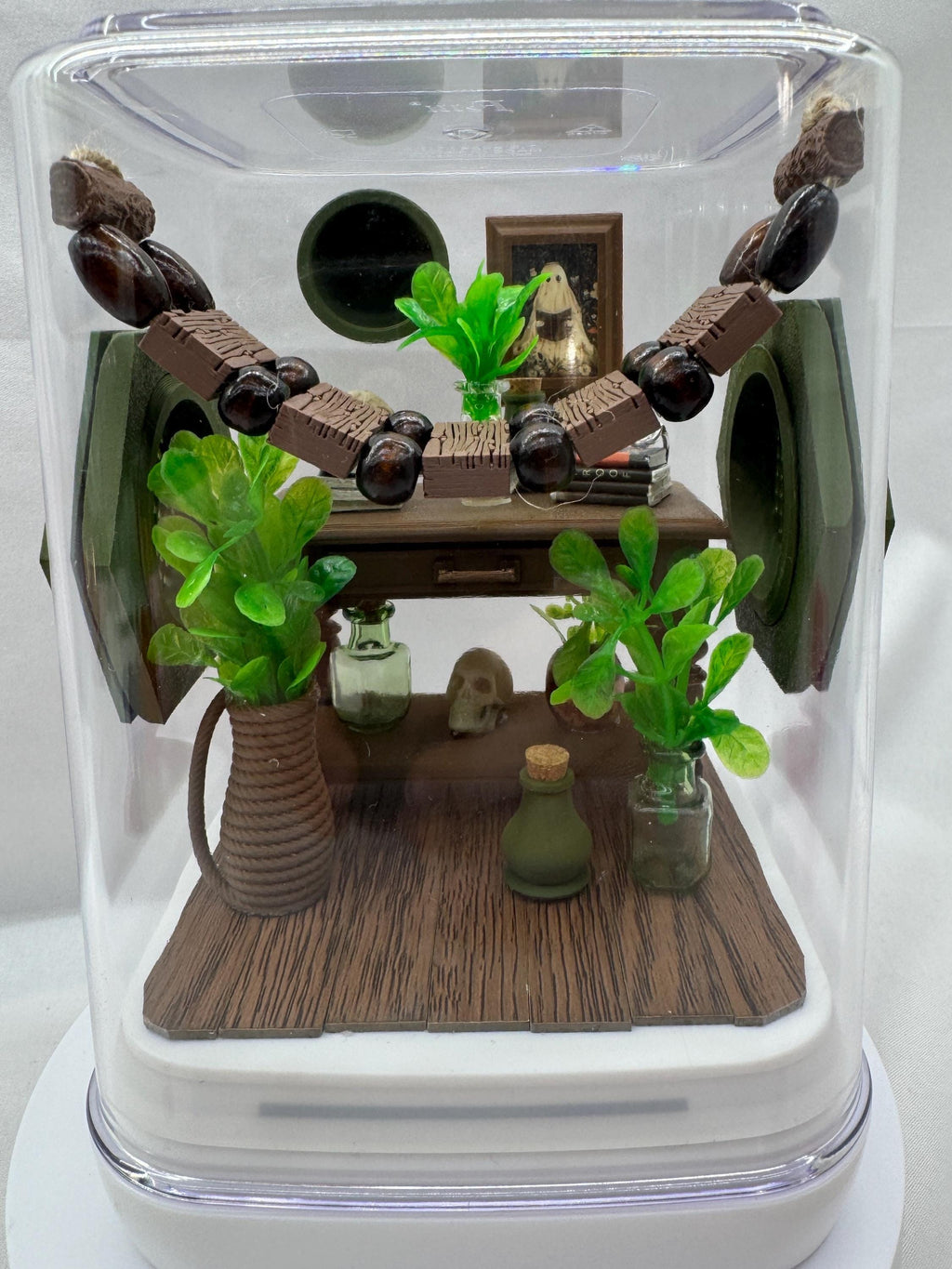 Decorated Jumping Spider Enclosure: Jungle Study Terrarium (5x5x7 inches)