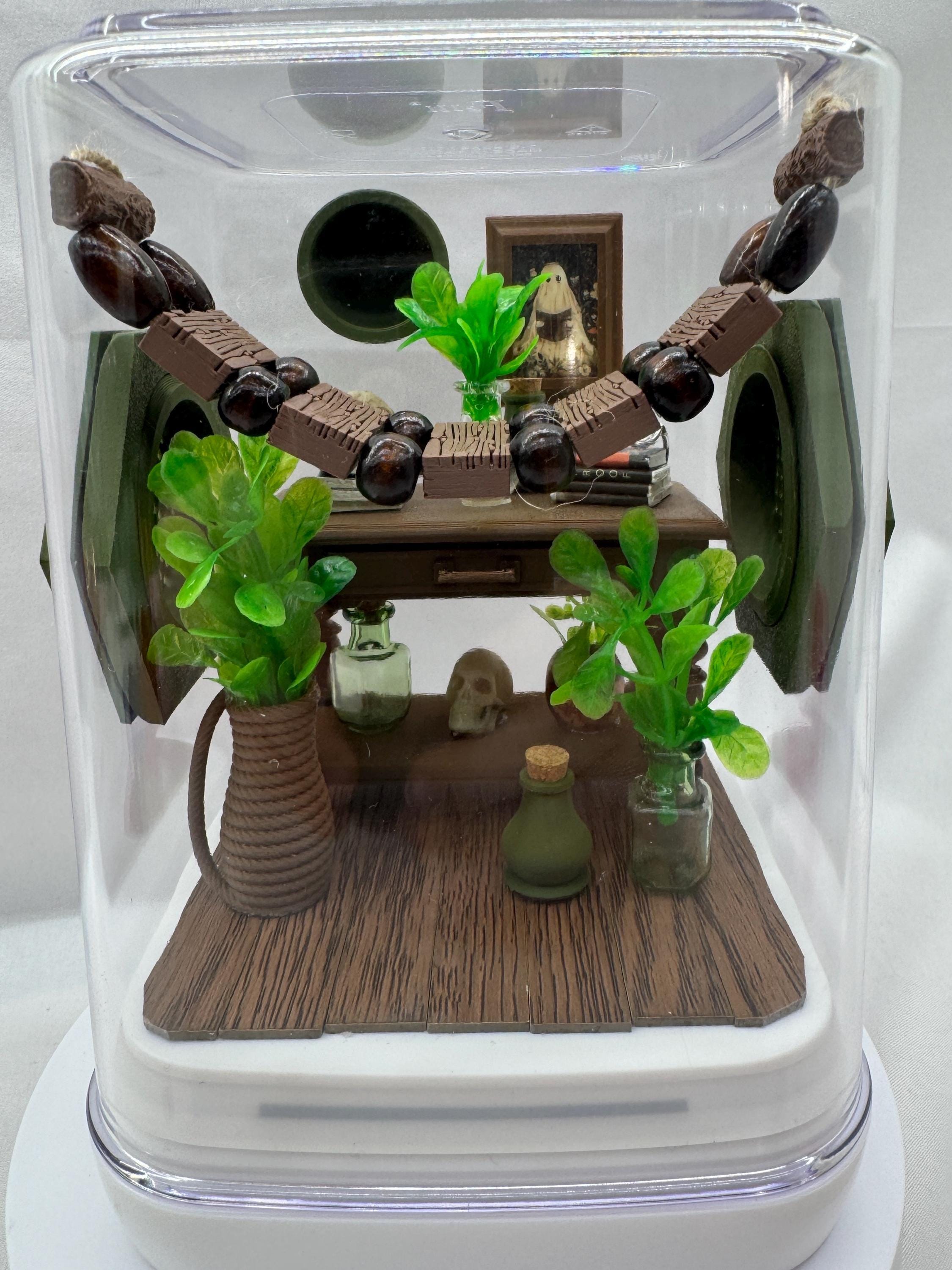 Decorated Jumping Spider Enclosure: Jungle Study Terrarium (5x5x7 inches)