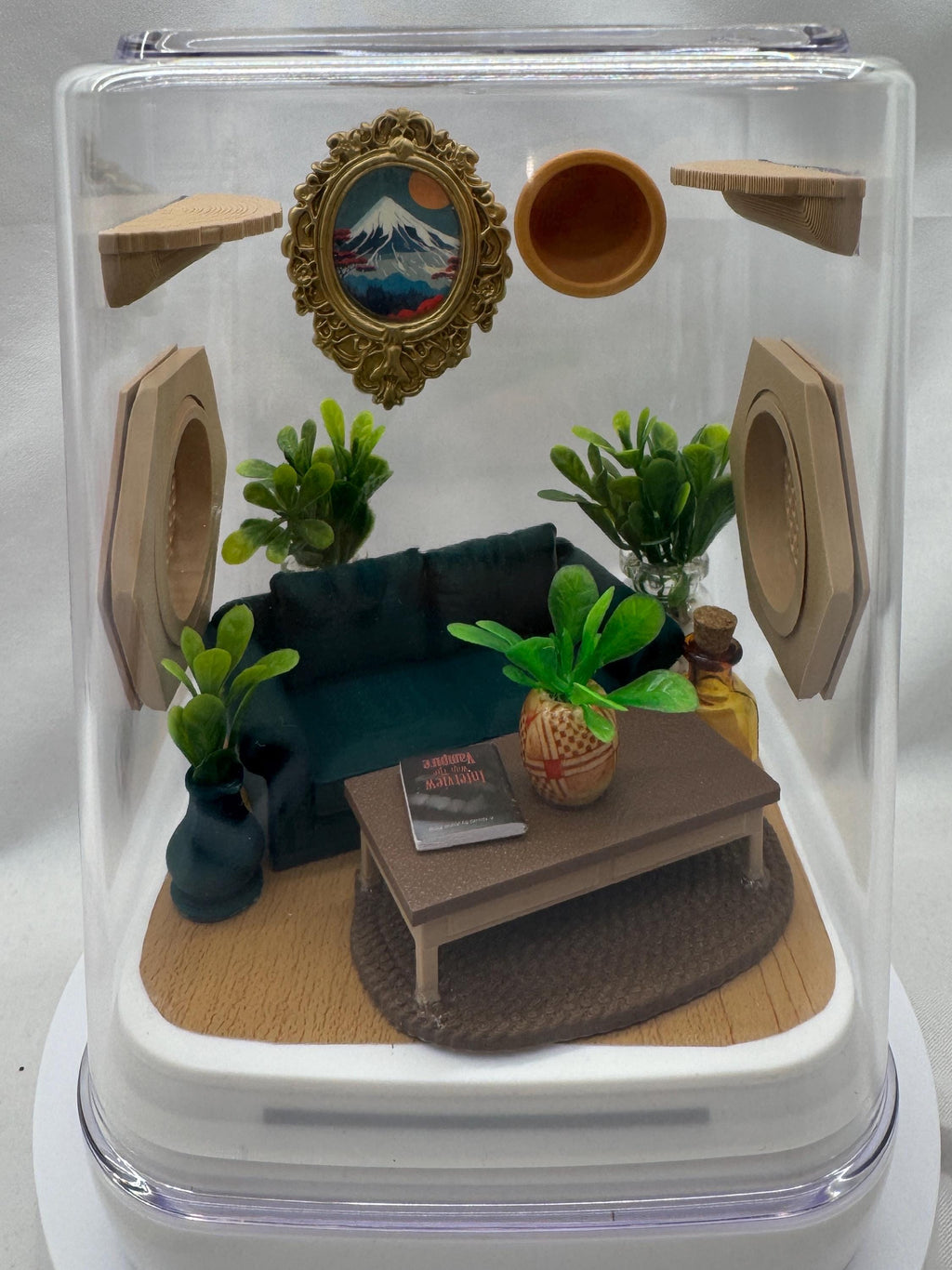 Decorated Jumping Spider Enclosure: Acrylic Living Room Terrarium (5x5x7 inches)