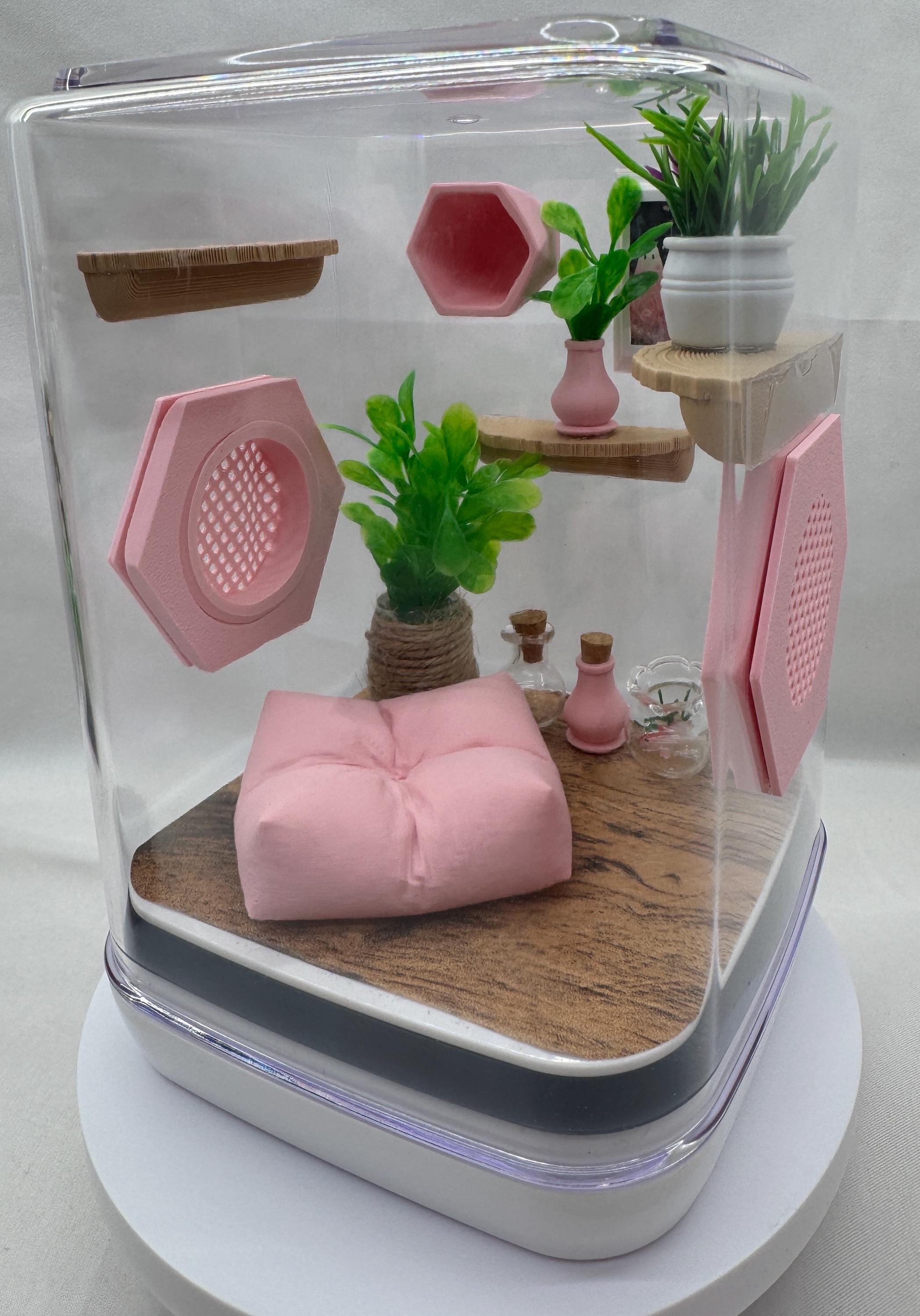 Pink Paradise Jumping Spider Terrarium: Customizable Enclosure & Accessories for Pet Arachnids