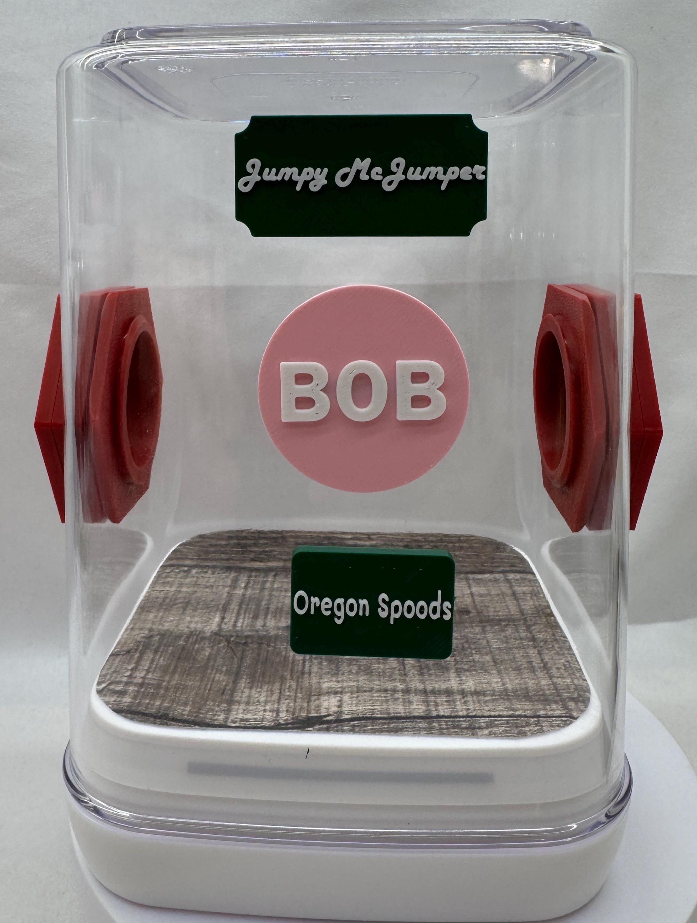 Personalized name tag, Magnetic, customizable, for spider and reptile enclosures.