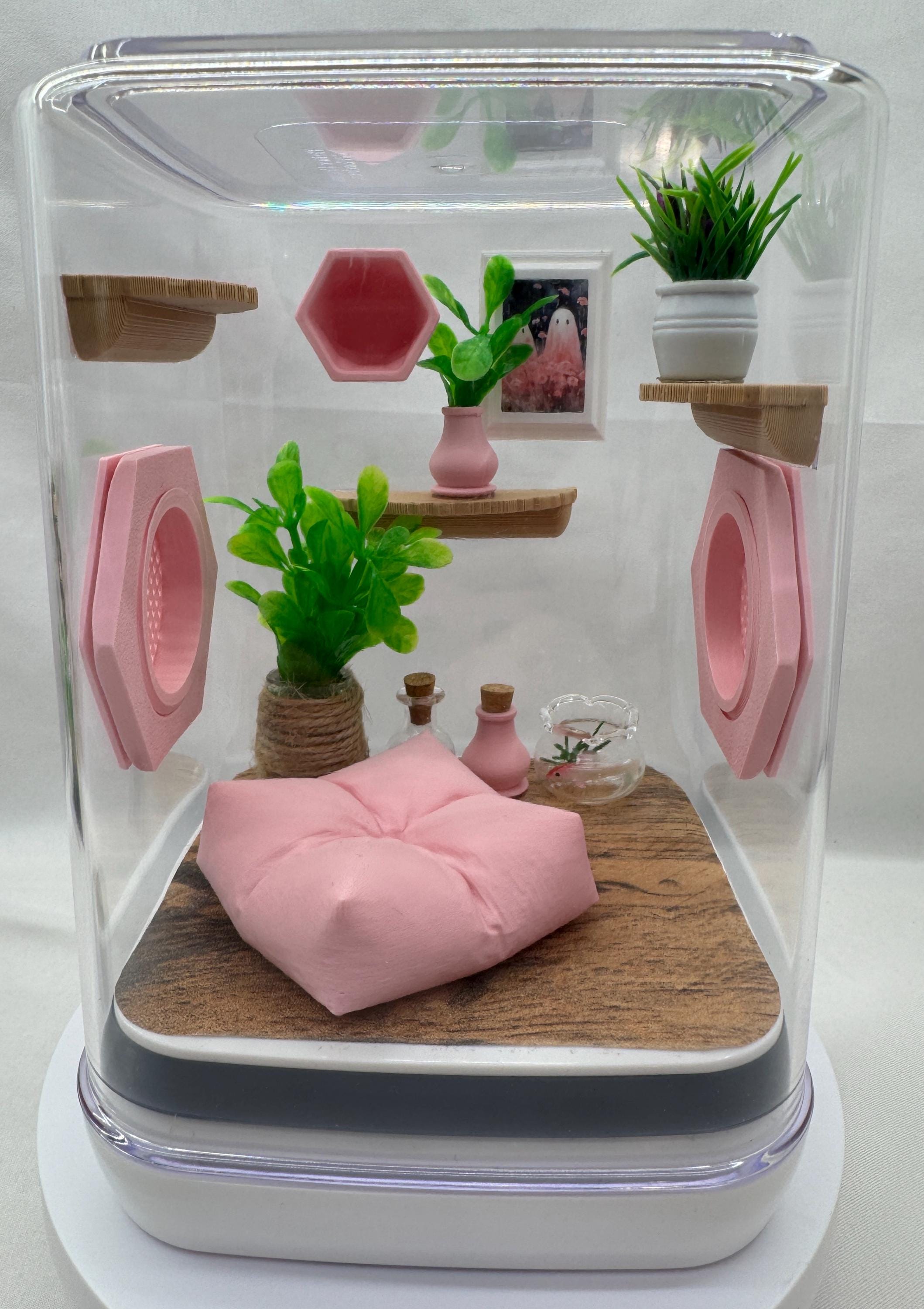 Accessory Pack for Pink Paradise jumping spider enclosure