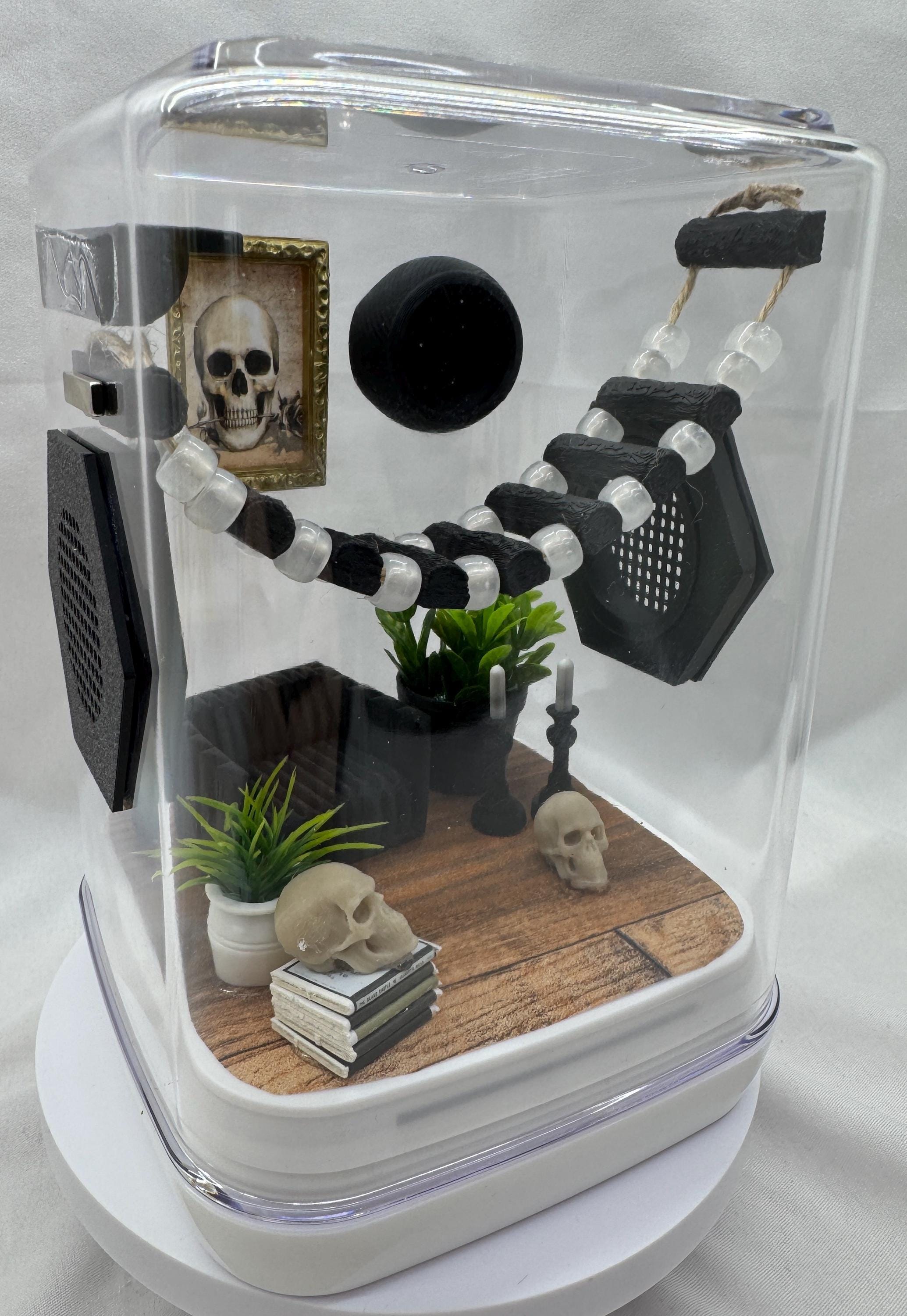 Spooky Jumping Spider Enclosure: Glow Bridge Terrarium