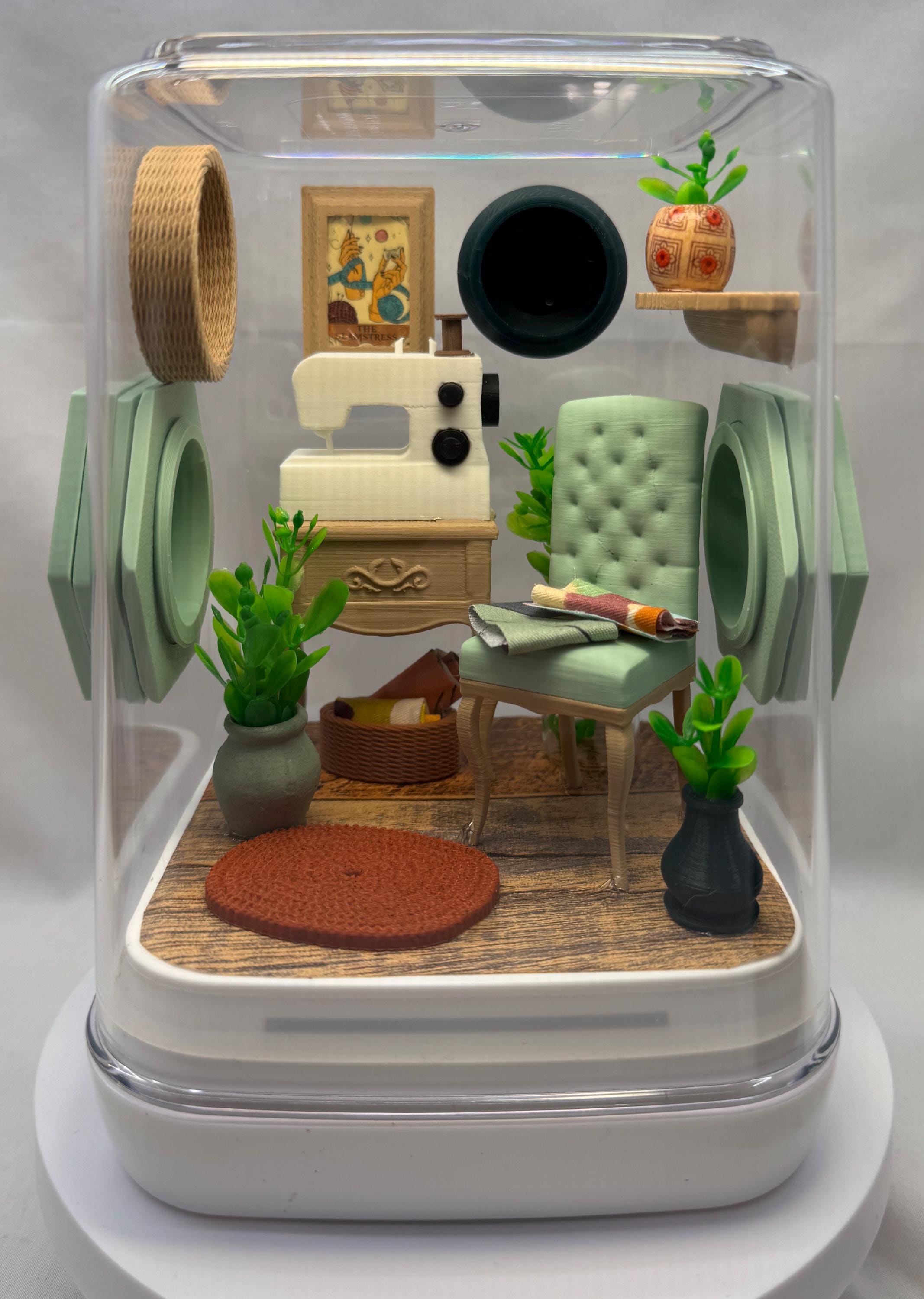 Sewing themed Jumping Spider Enclosure: Custom Arachnid Terrarium