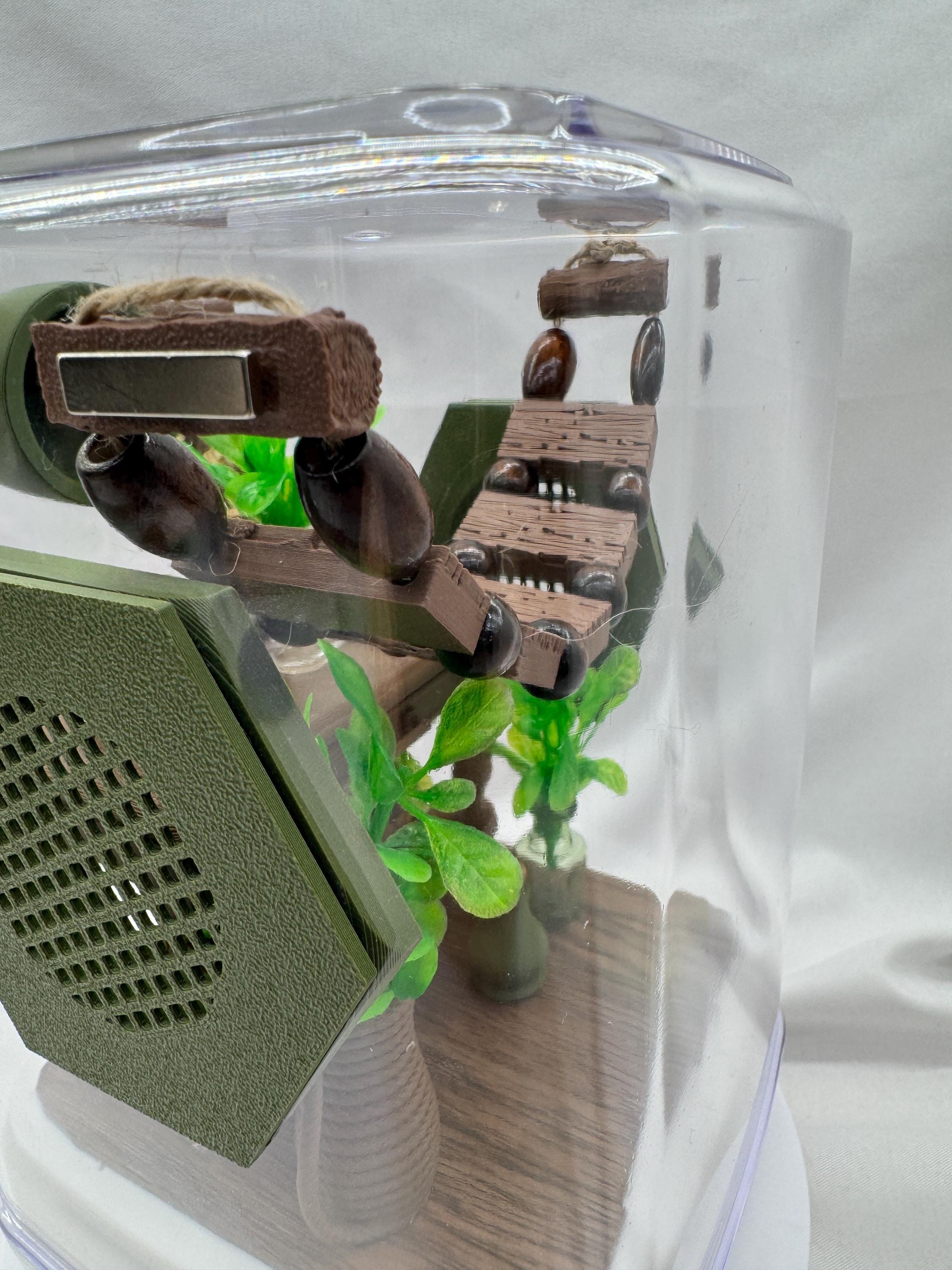 Decorated Jumping Spider Enclosure: Jungle Study Terrarium (5x5x7 inches)