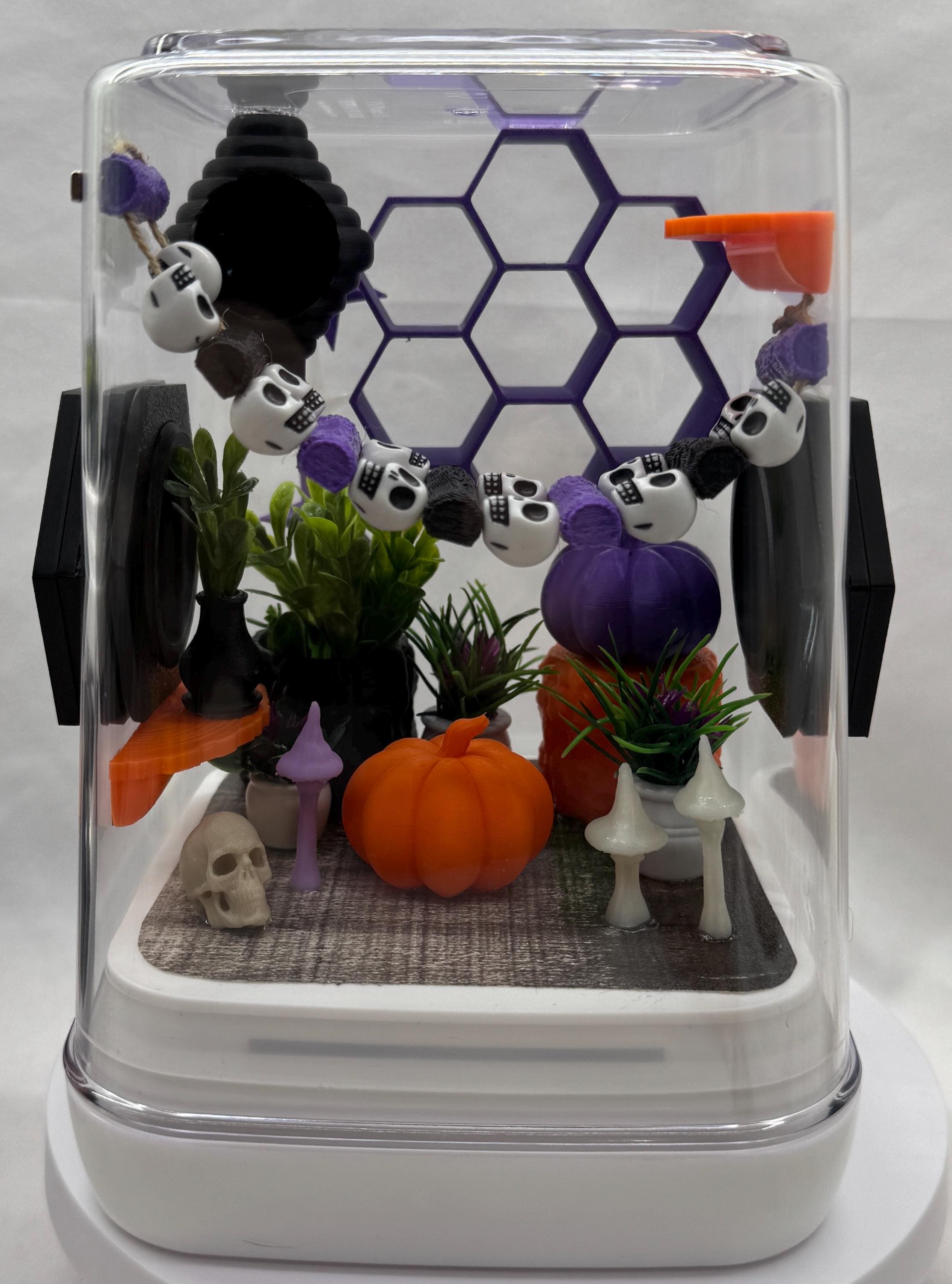 Gothic themed Enclosure for Arachnid Pets - Safe, Custom Terrarium & Home - Decor-Adorable Jumping Spider Habitat