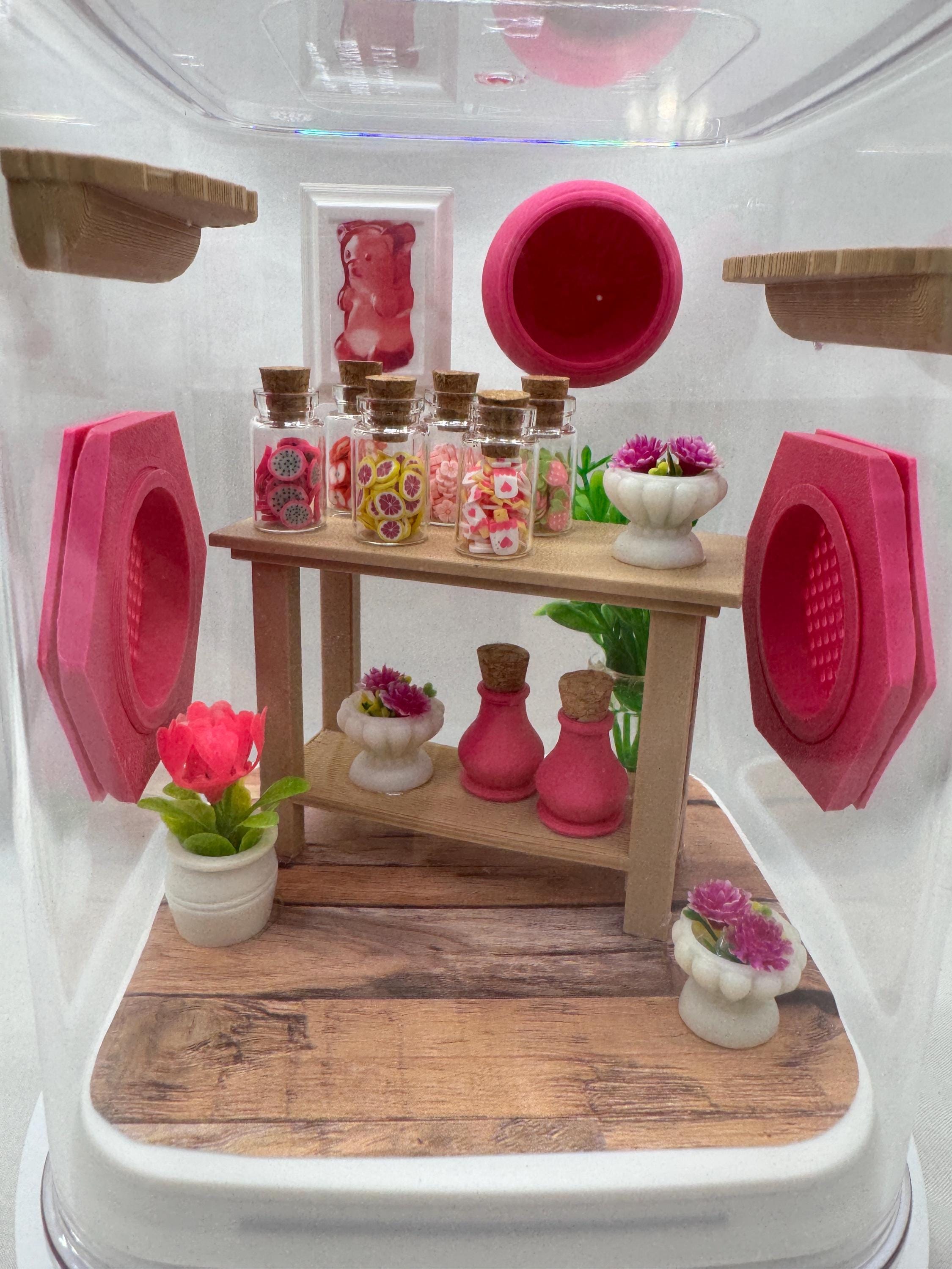 Decorated Jumping Spider Enclosure: Candy Shop Theme (5x5x7 inches)