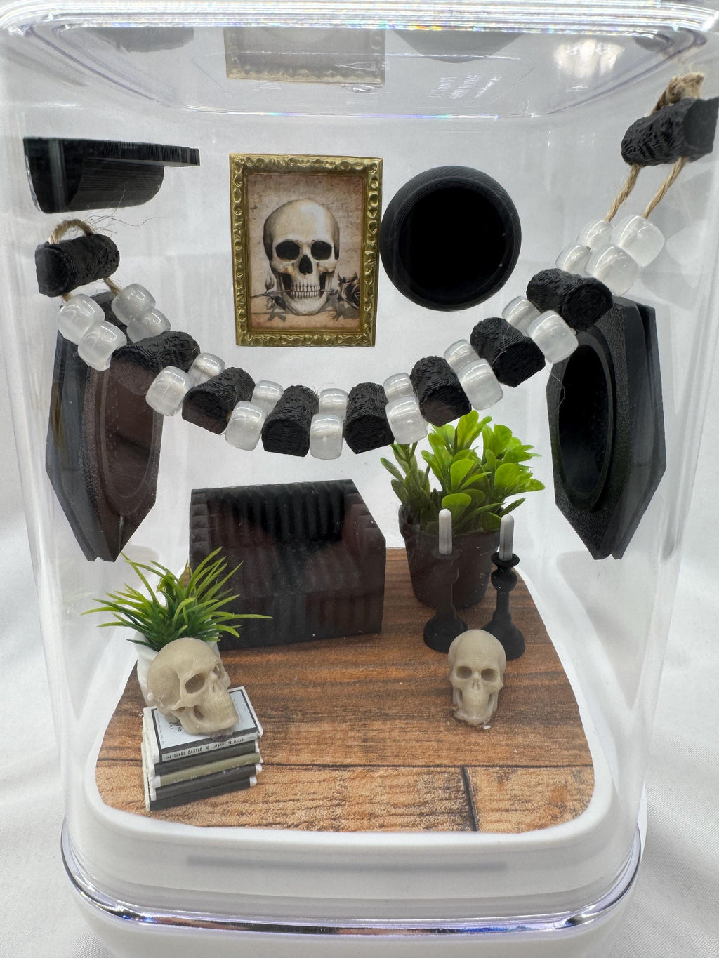 Spooky Study Accessory Pack: Jumping Spider Enclosure Decor