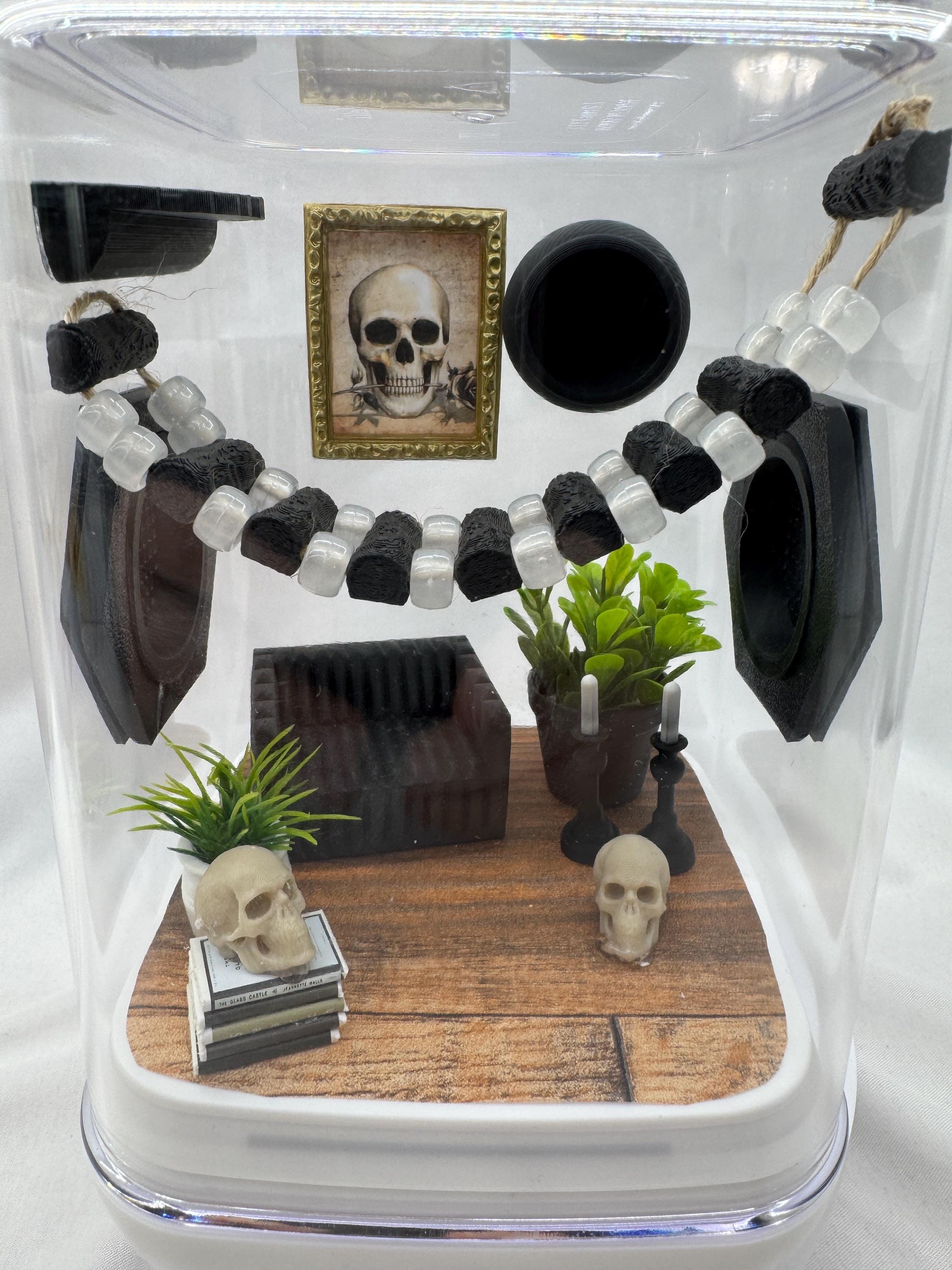 Spooky Study Accessory Pack: Jumping Spider Enclosure Decor