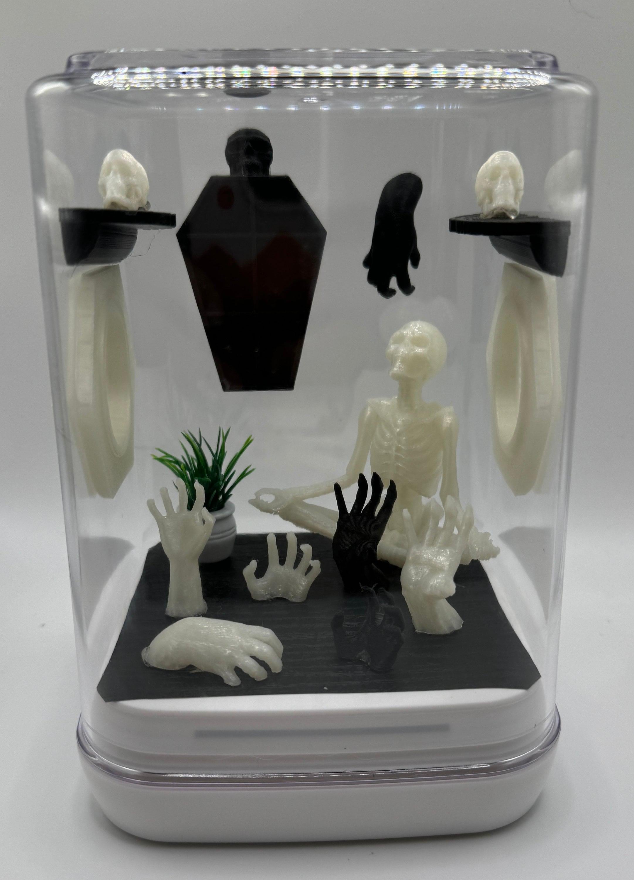 Glowing Ghoul Jumping Spider Enclosure: Acrylic Terrarium (5x5x7 inches)