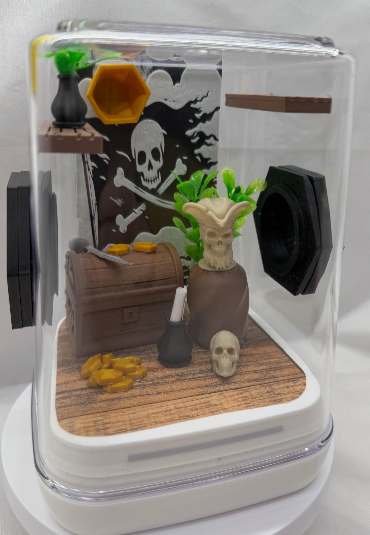 Pirate themed jumping spider enclosure | Decorated terrarium