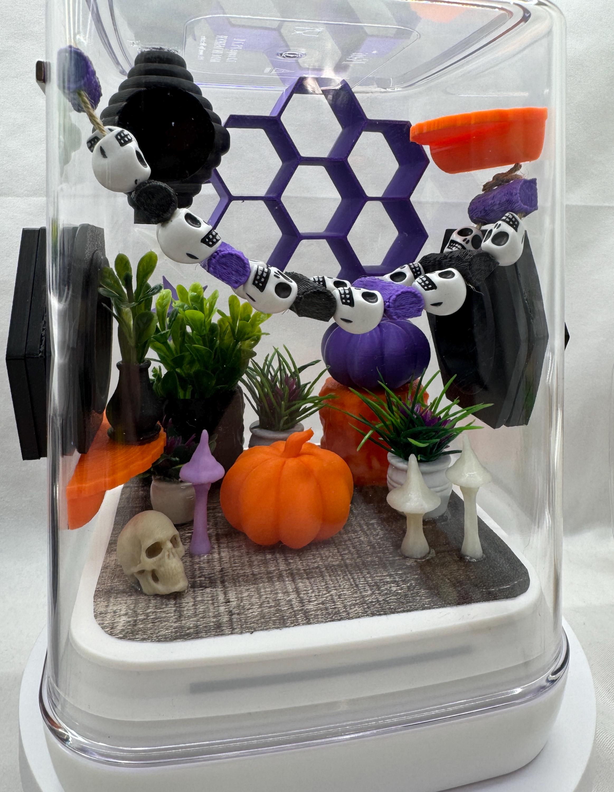 Gothic themed Enclosure for Arachnid Pets - Safe, Custom Terrarium & Home - Decor-Adorable Jumping Spider Habitat