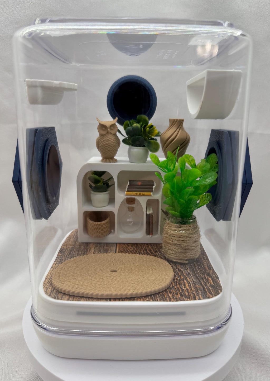 Accessory Pack for The Owl Retreat jumping spider enclosure