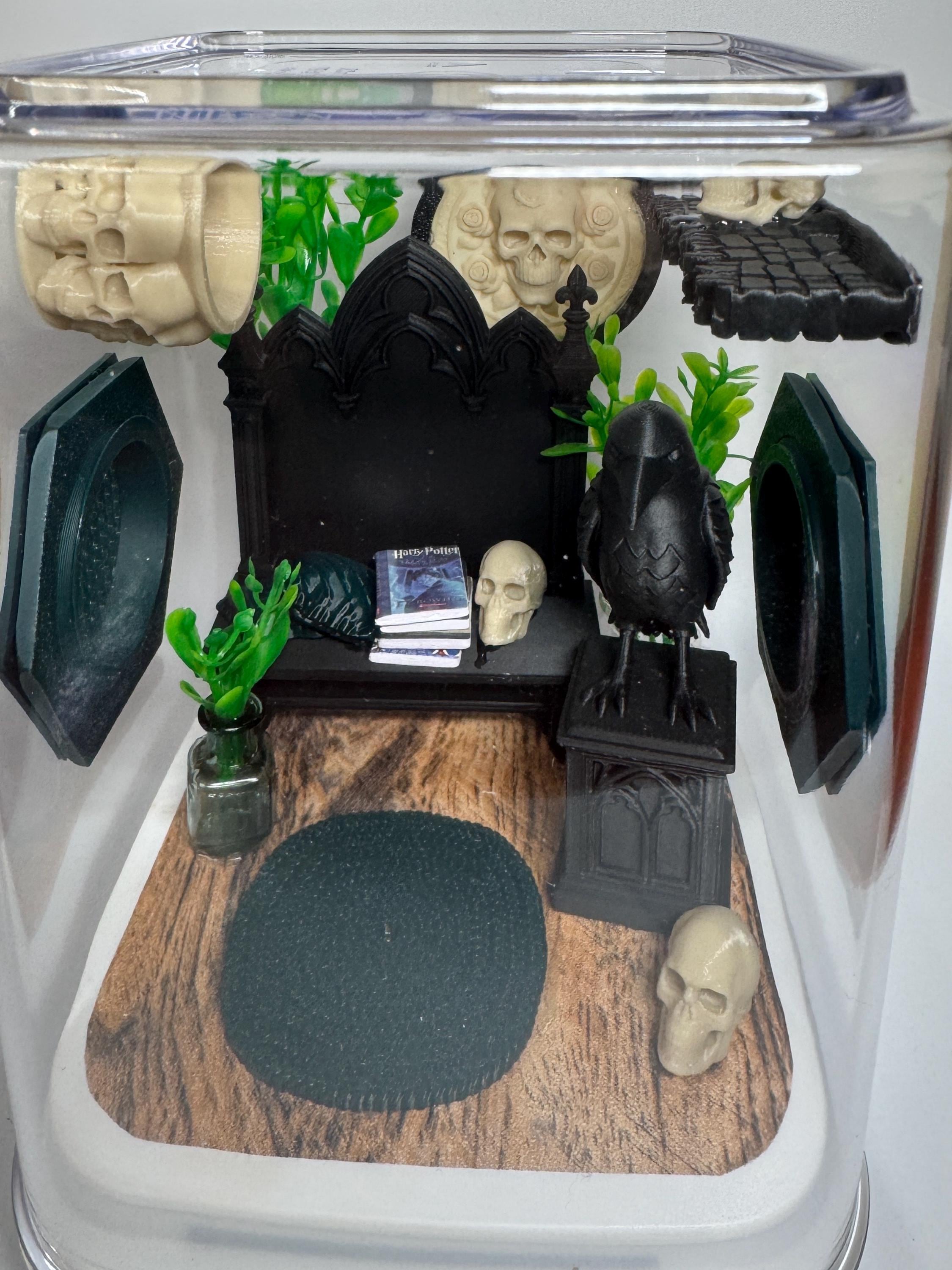 Gothic Jumping Spider Enclosure: Custom Arachnid Terrarium