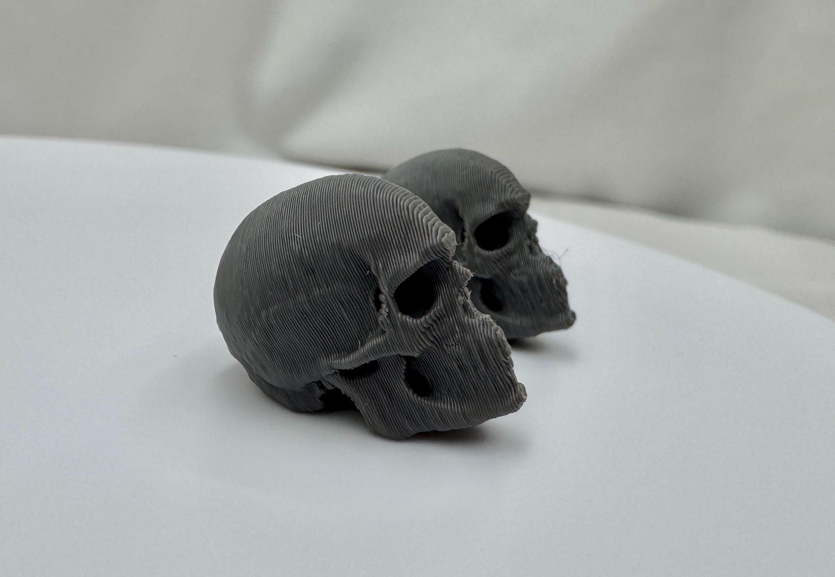 3D Printed Spider Skulls: Spooky Enclosure Decor, Set of 2
