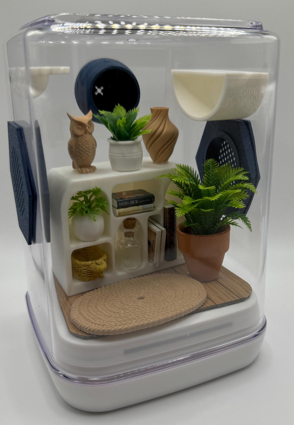 Accessory Pack for The Owl Retreat jumping spider enclosure