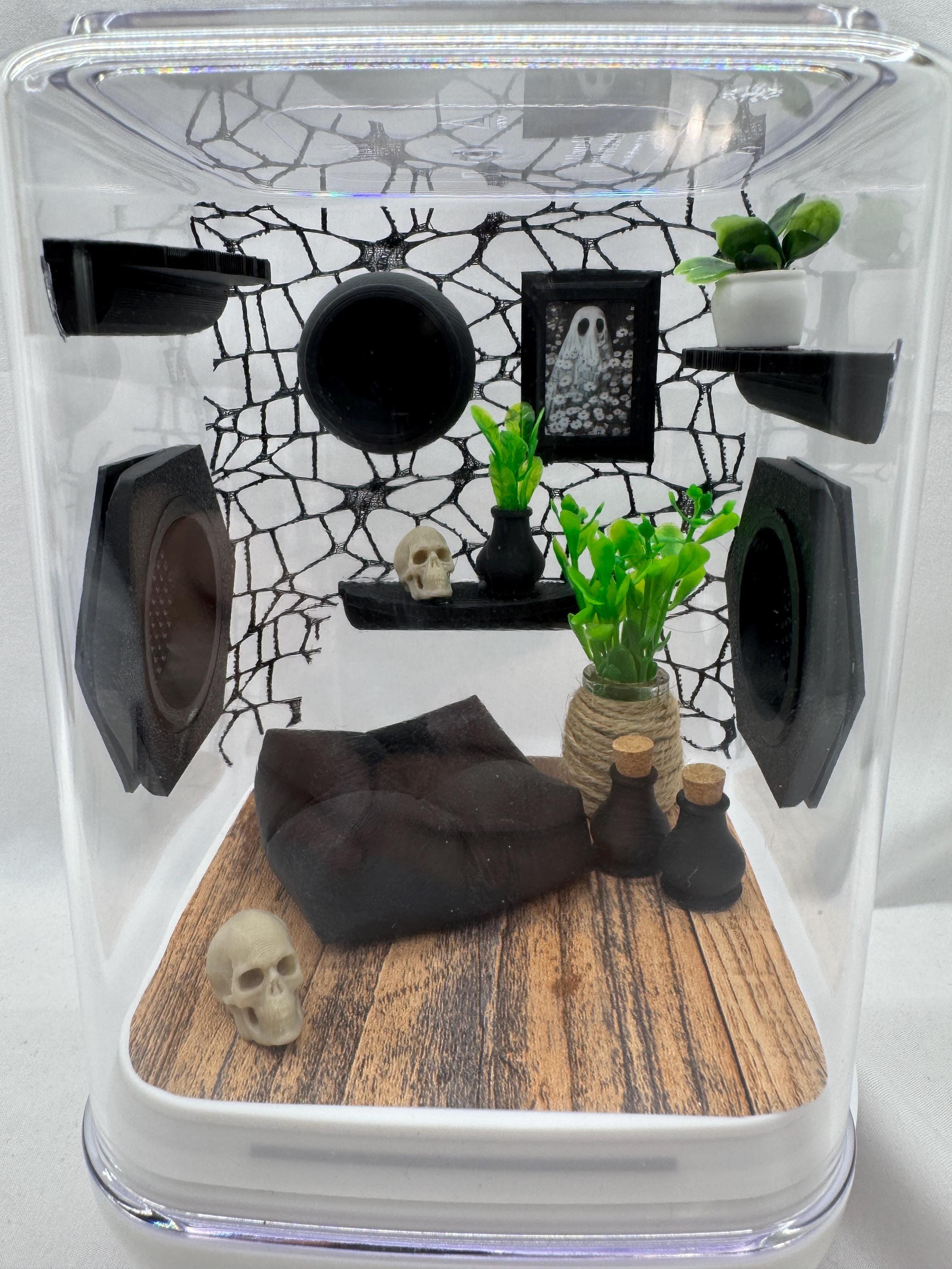 Webby Haven jumping spider enclosure, terrarium, acrylic, home