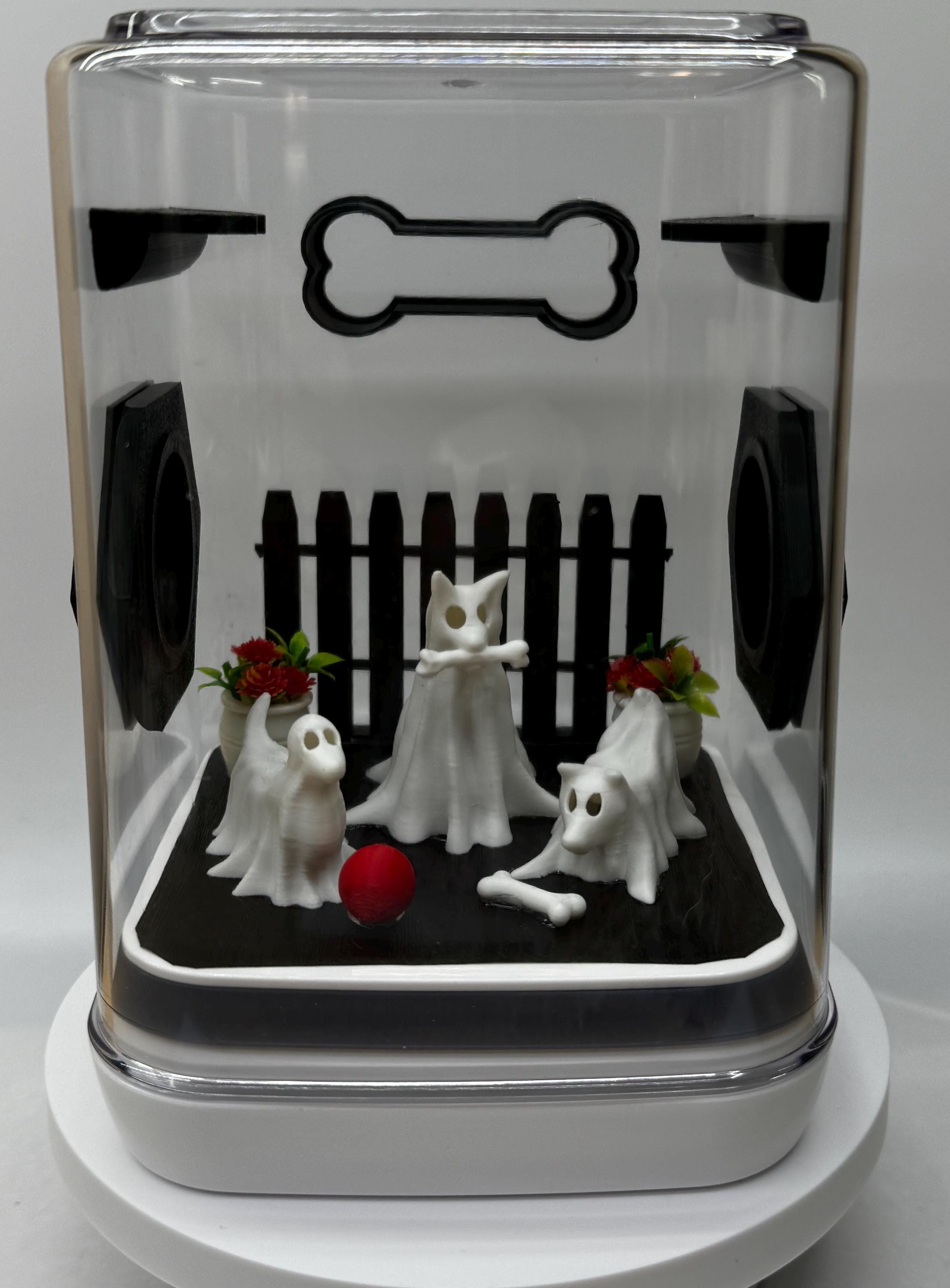 Accessory Pack for Ghost Dogs jumping spider enclosure