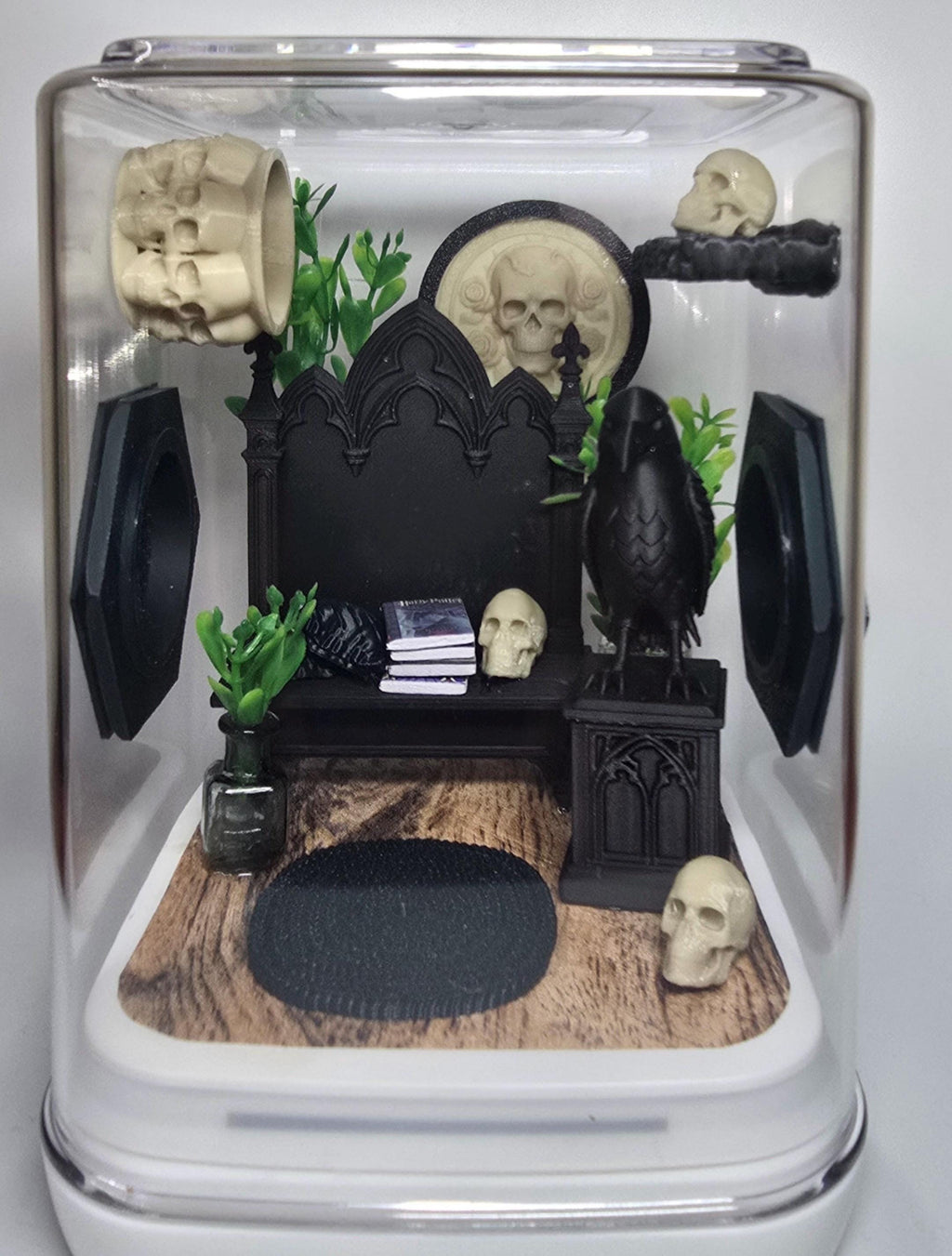 Gothic Jumping Spider Enclosure: Custom Arachnid Terrarium