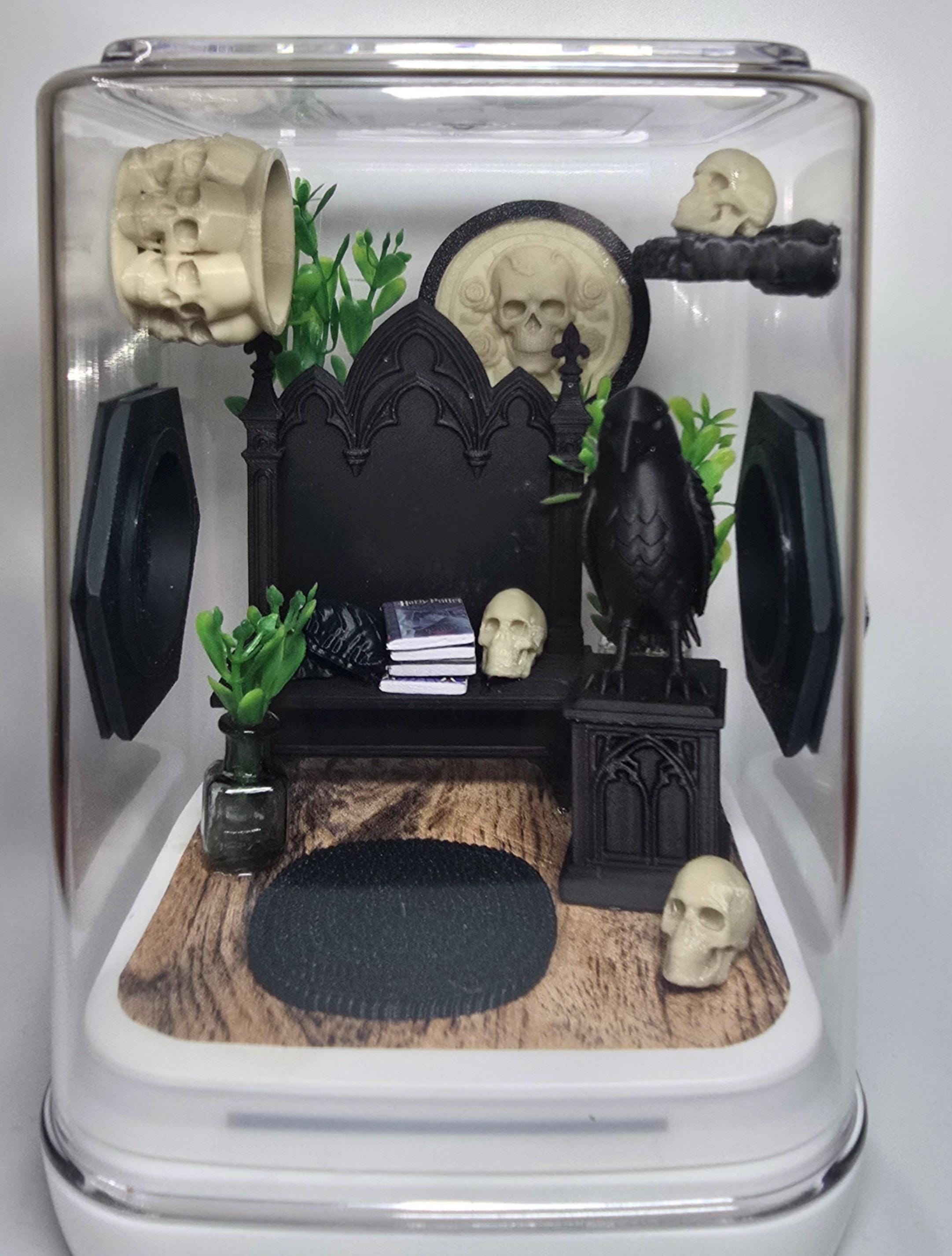 Gothic Jumping Spider Enclosure: Custom Arachnid Terrarium