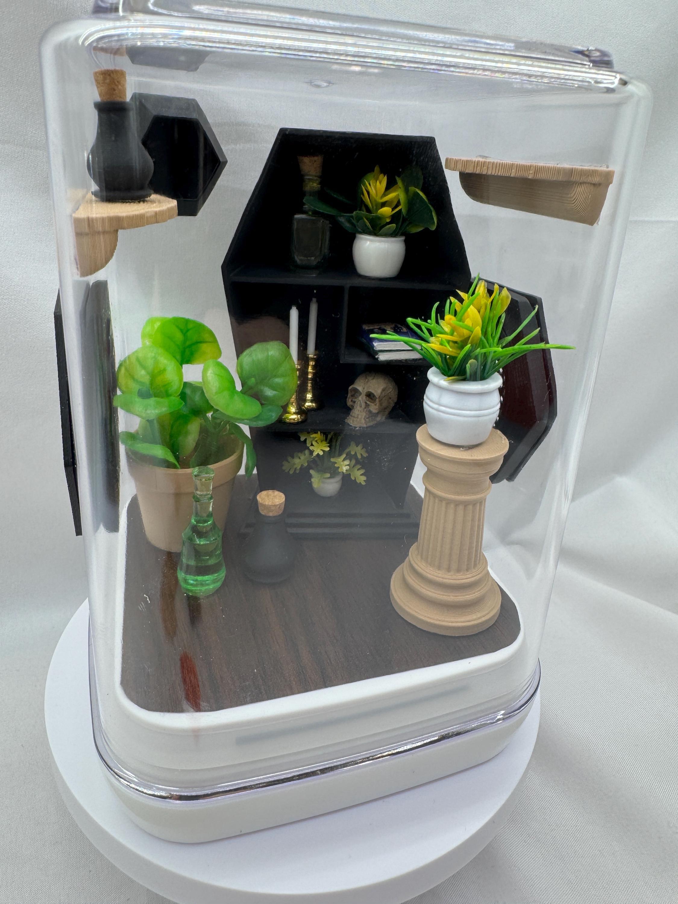 Accessory Pack for Coffin Dreams Jumping Spider Enclosure – Habitat Decor & Supplies for Insect Terrarium