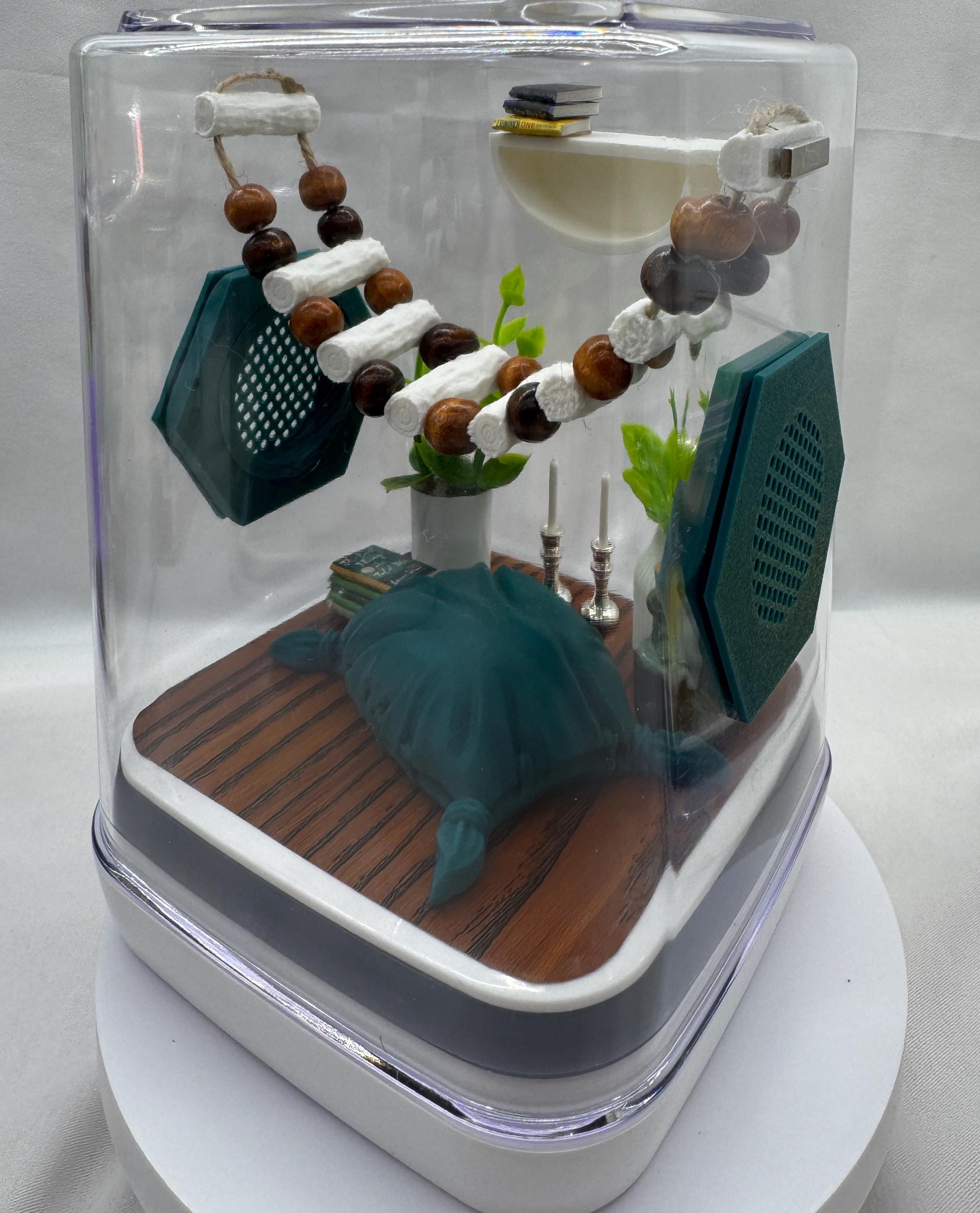The Boho Room jumping spider enclosure, jumping spiders, enclosures, terrarium