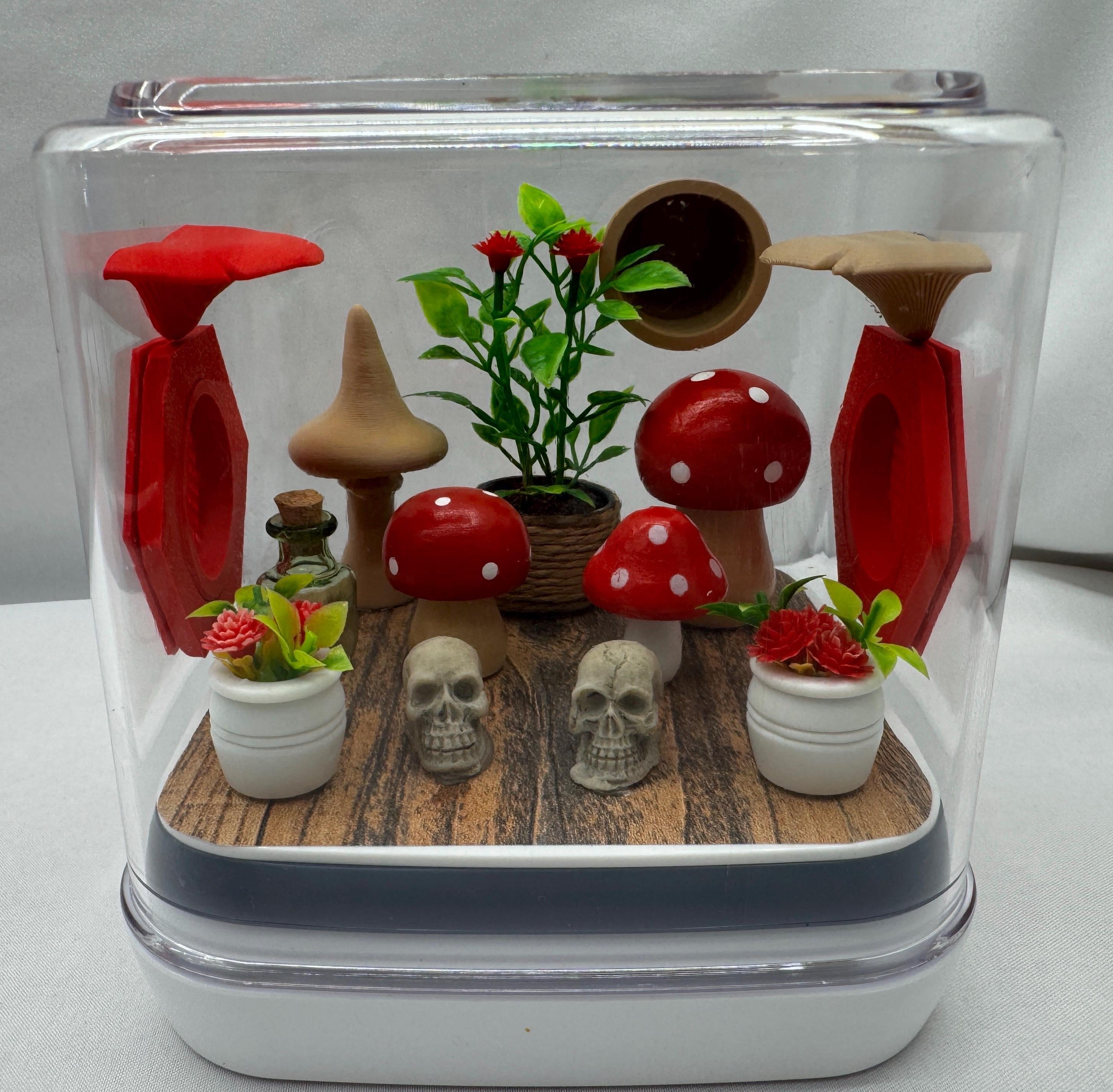 Mini mushroom jumping spider enclosure